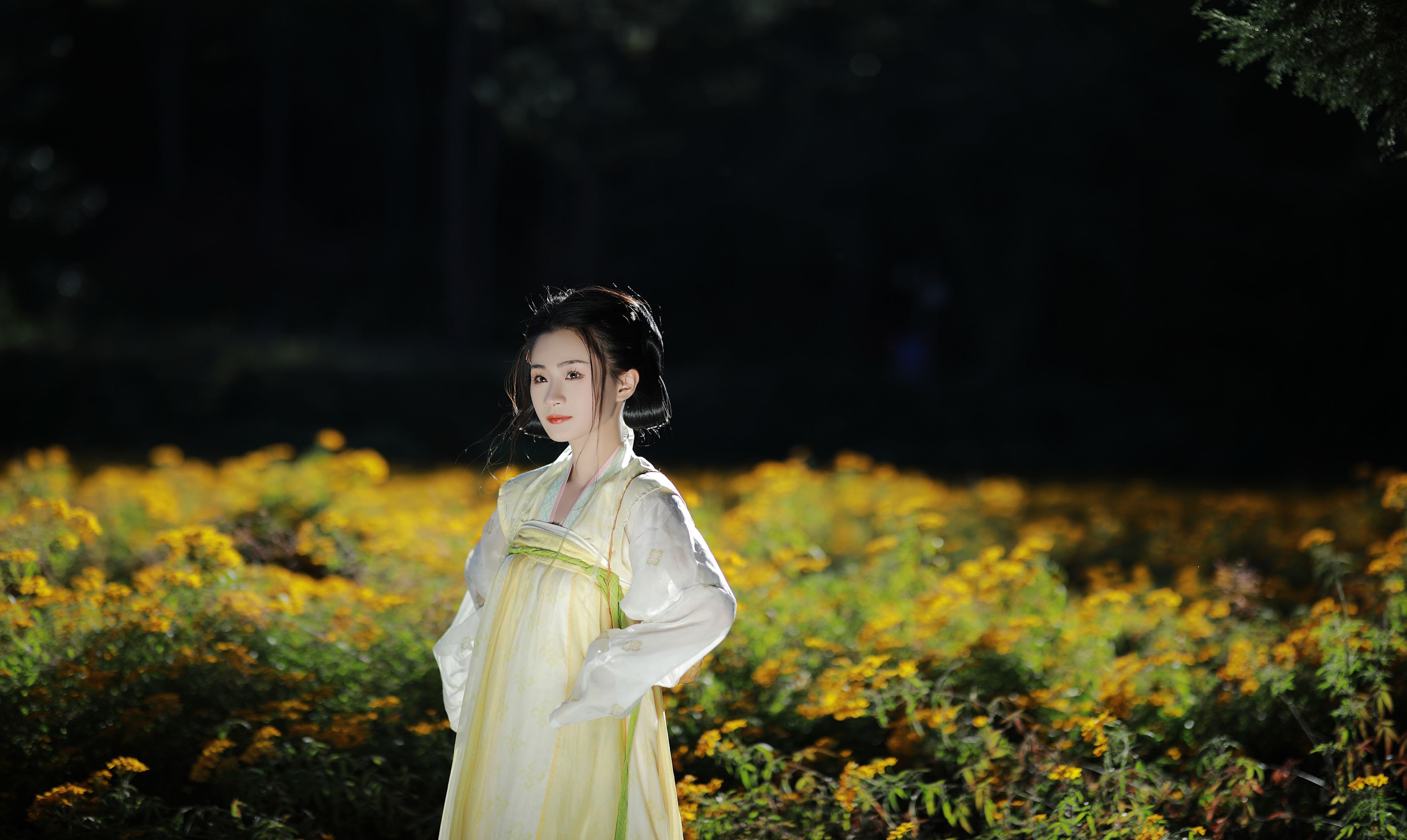 Y – 《我曾是一朵花》[33P] 插图4