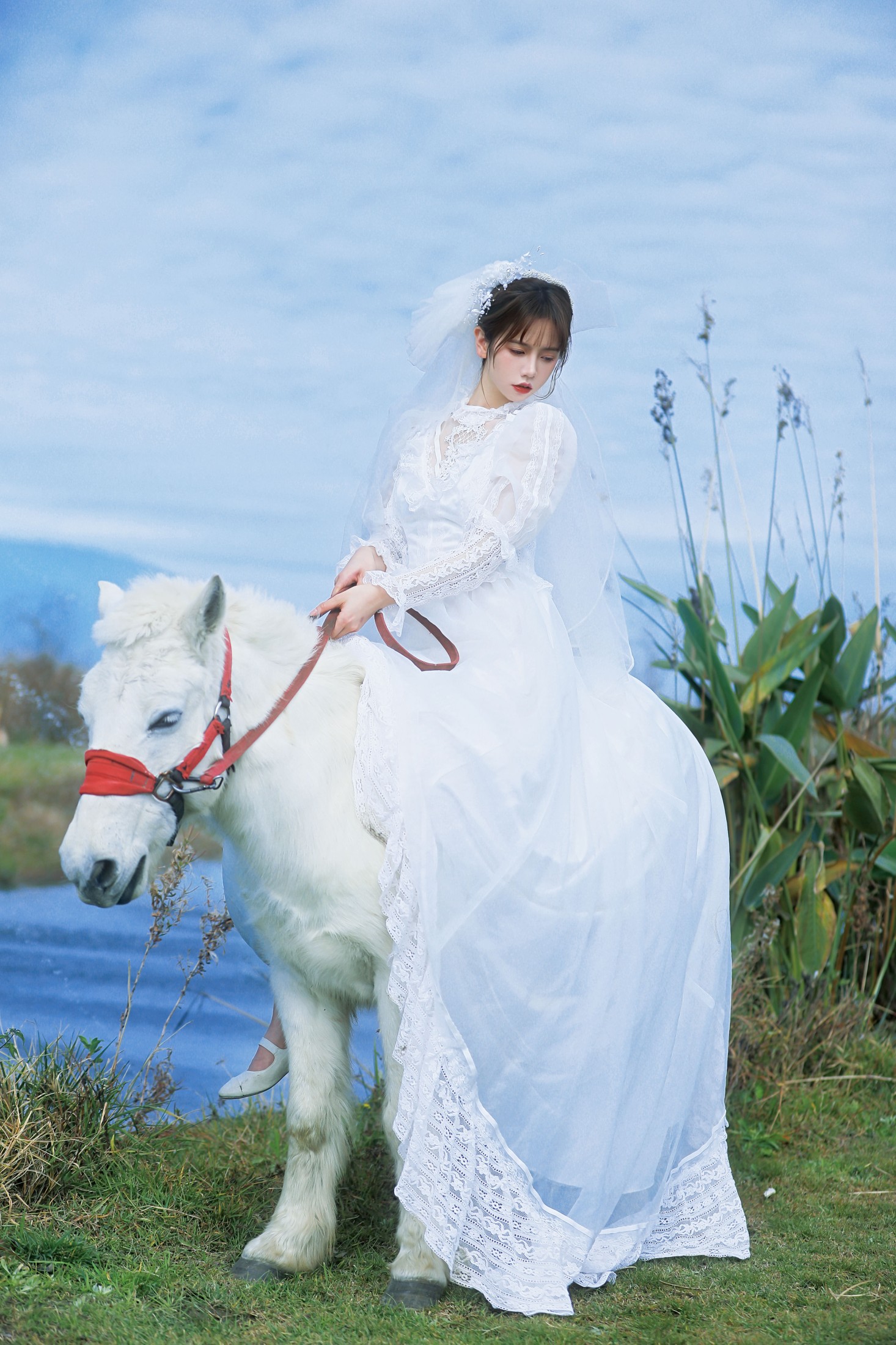 林木婷子 – 《桑桑，我带你回家。》[23P] 插图4