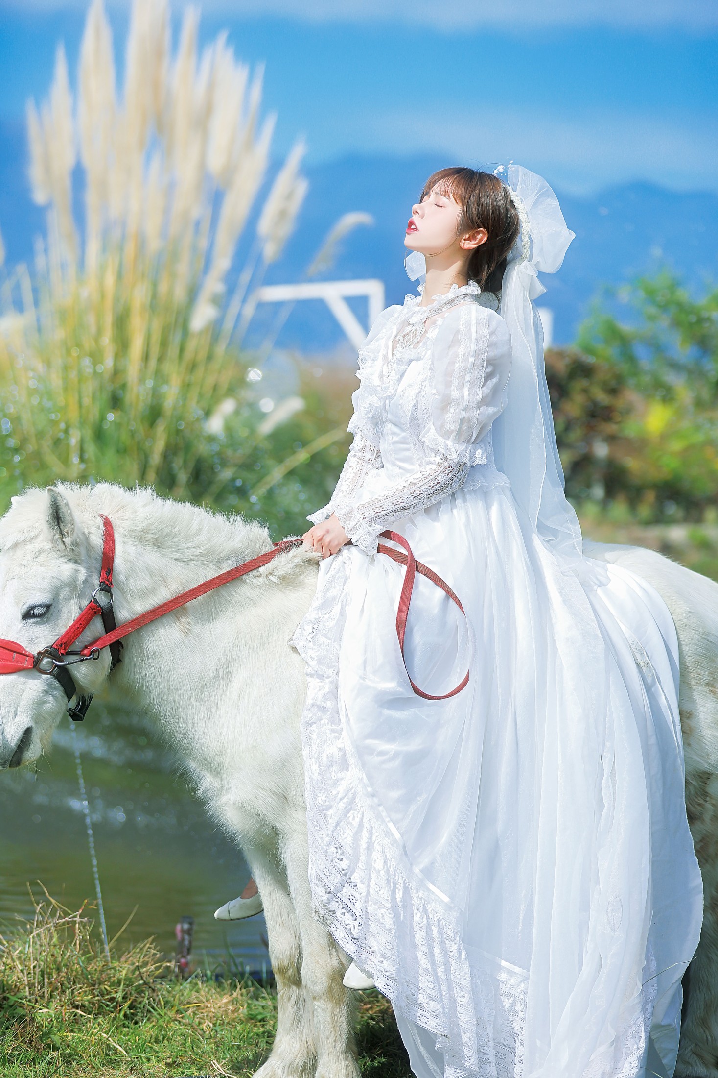 林木婷子 – 《桑桑，我带你回家。》[23P] 插图3