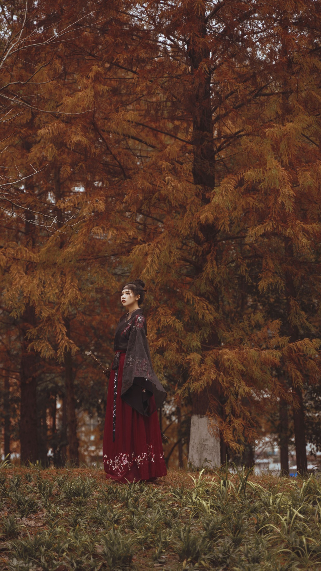 橙子舒 – 《红杉林》[30P] 插图4