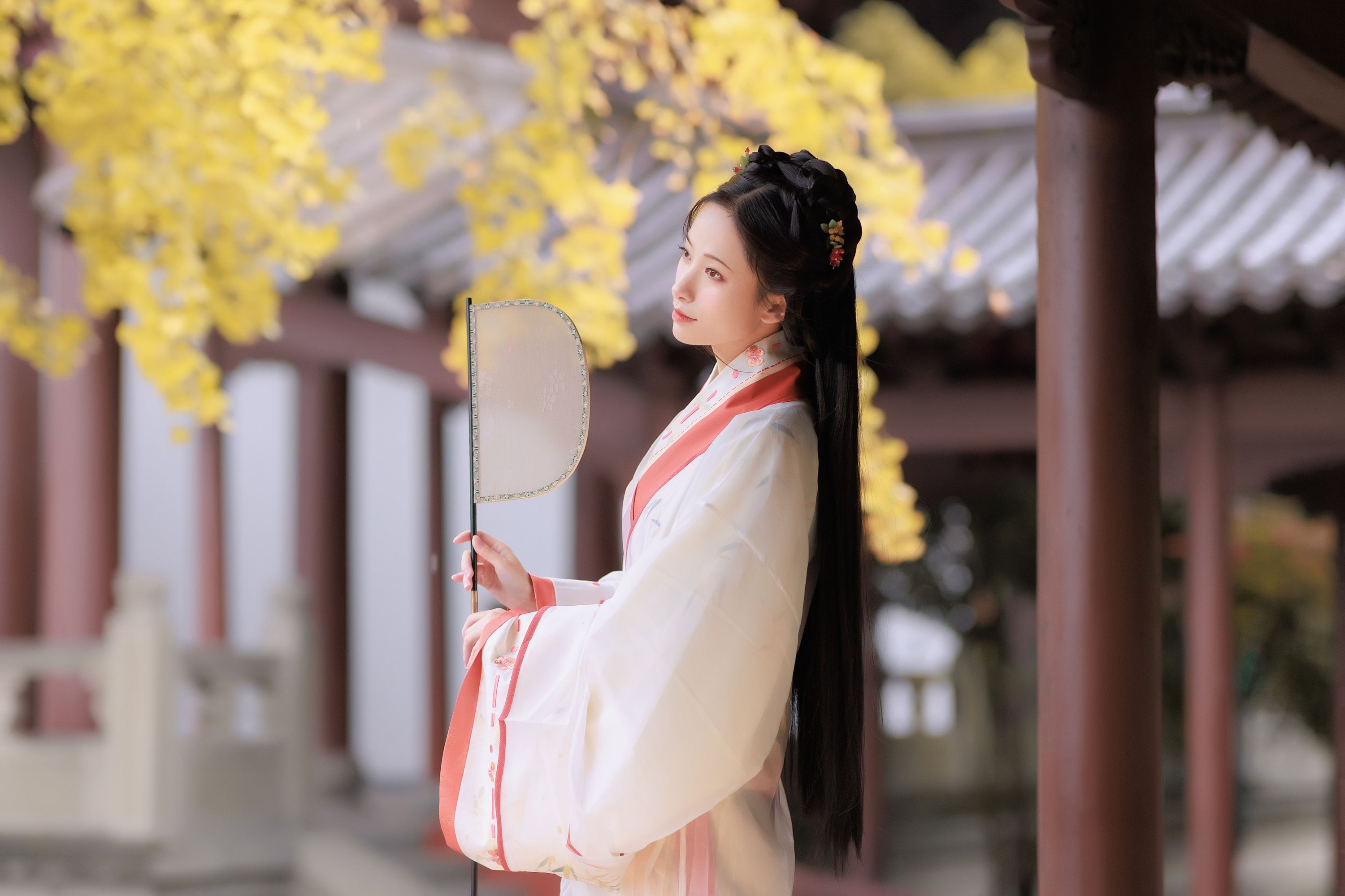 眸小妖 – 《雨中银杏》[24P] 插图3