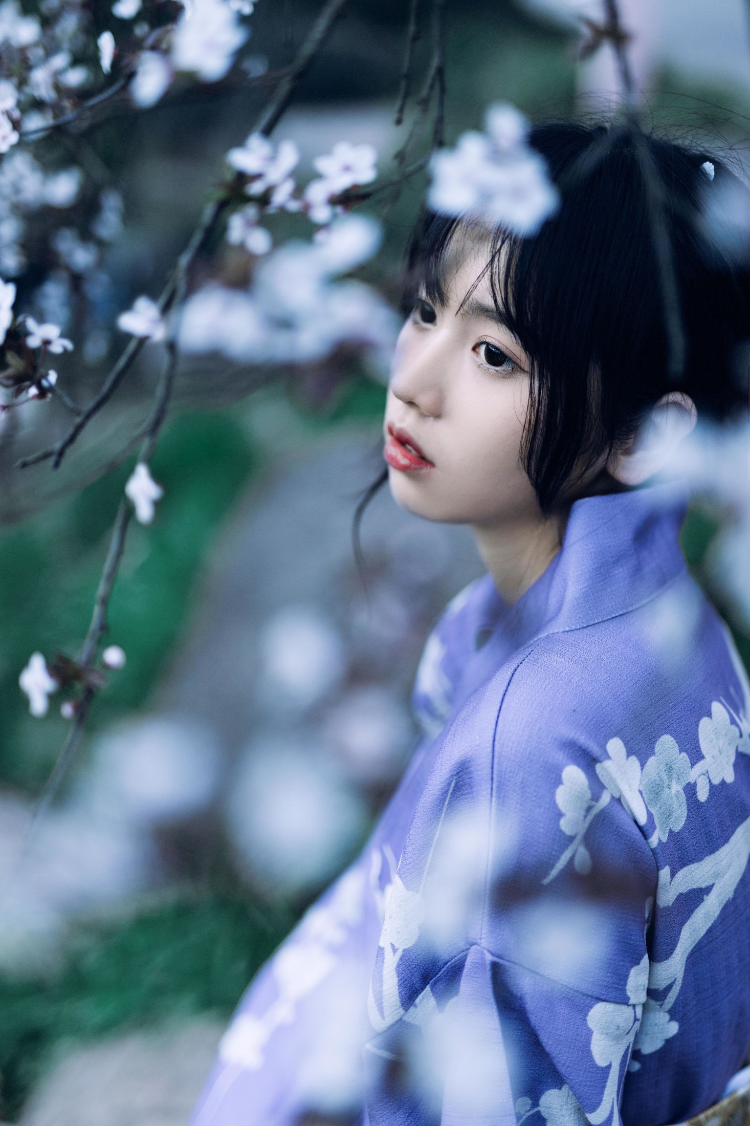 林木婷子 – 《懒樱》[24P] 插图4