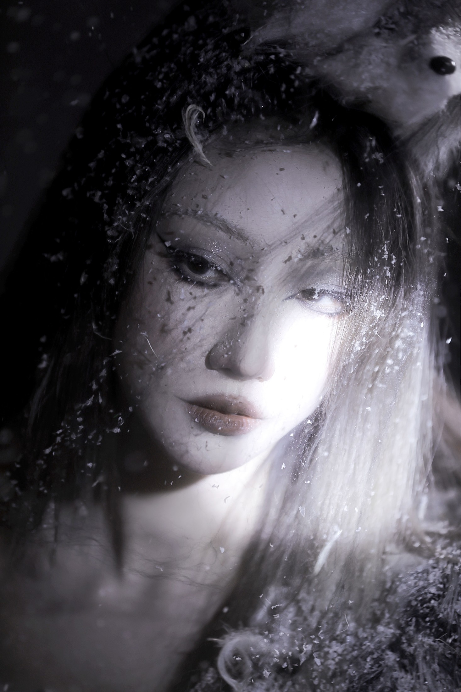 张别拉 – 《雪狐》[21P] 插图4