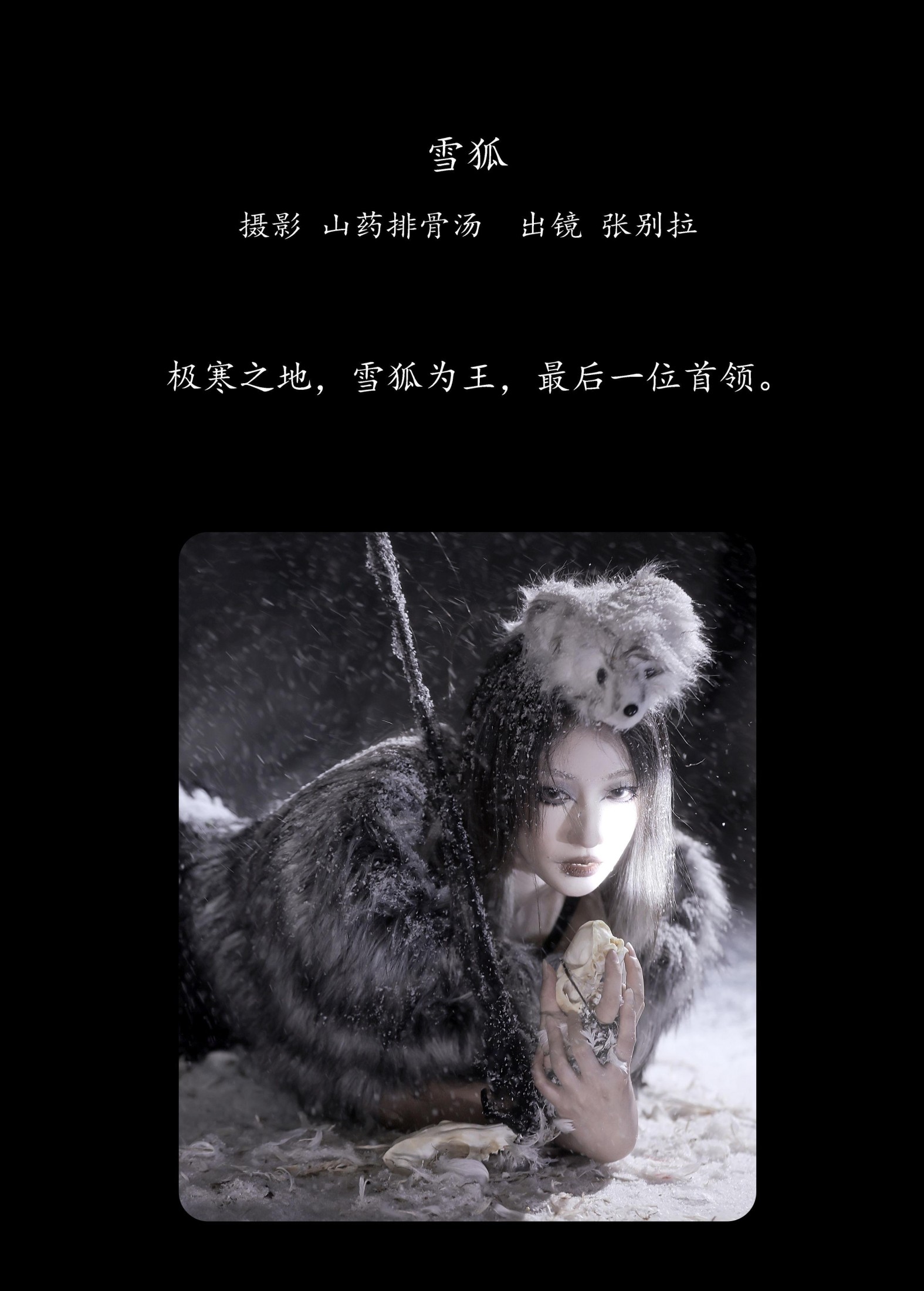 张别拉 – 《雪狐》[21P] 插图2