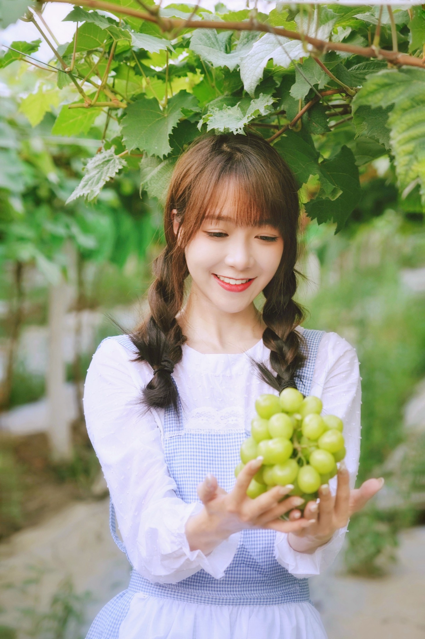 鸭鸭 – 《葡萄园丰收的喜悦》[24P] 插图4