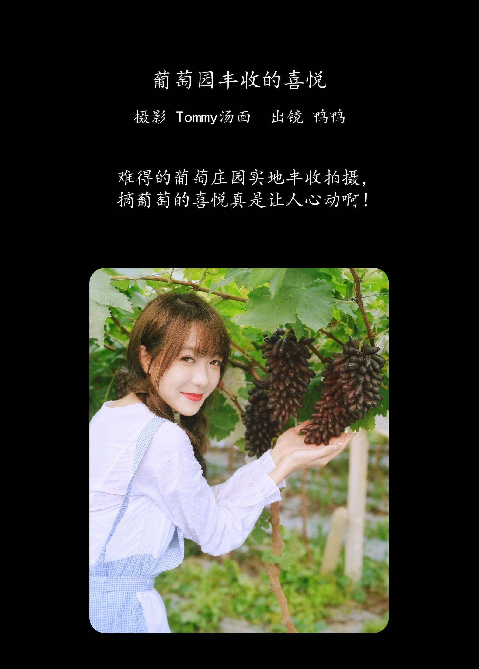 鸭鸭 – 《葡萄园丰收的喜悦》[24P] 插图2