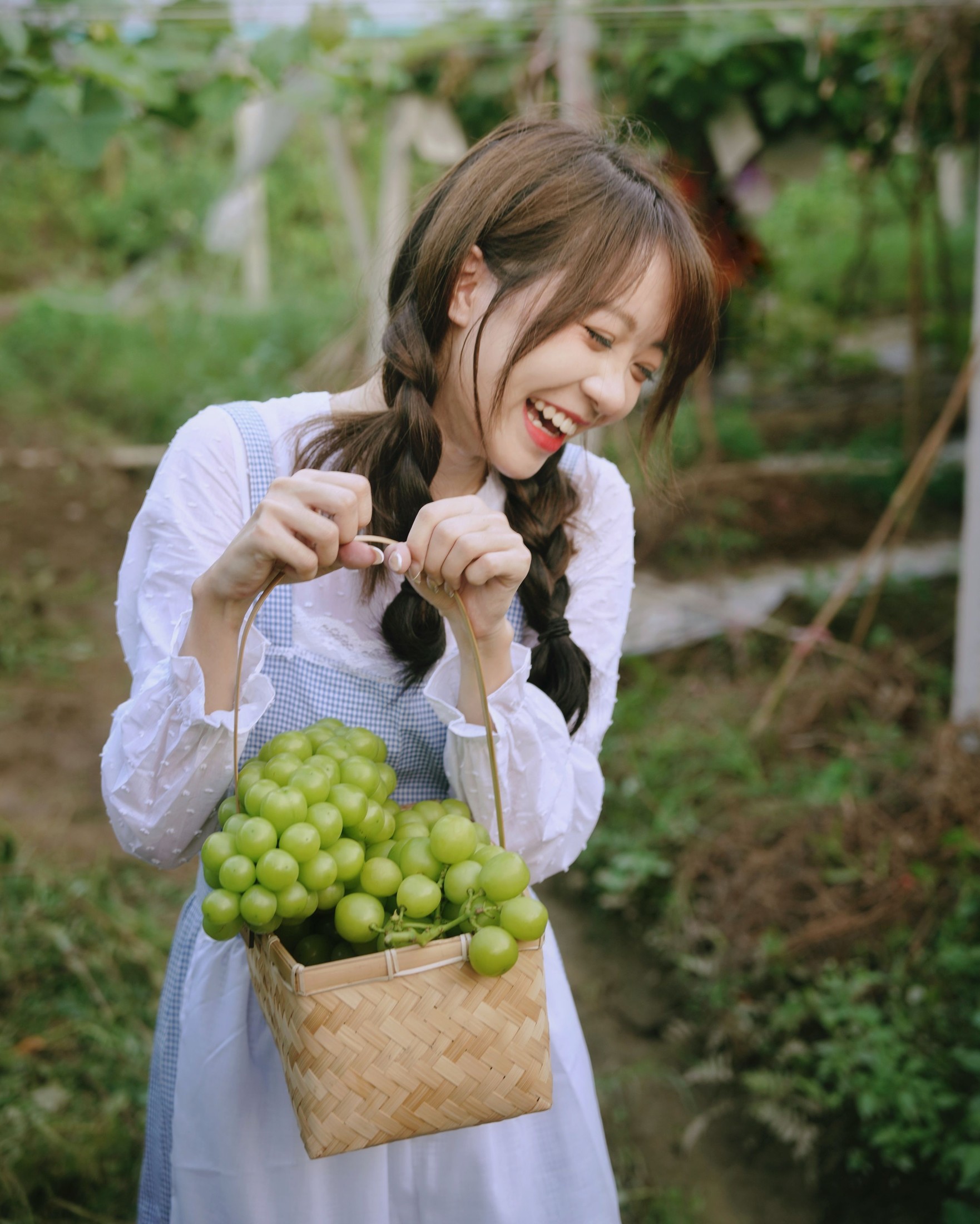 鸭鸭 – 《葡萄园丰收的喜悦》[24P] 插图5