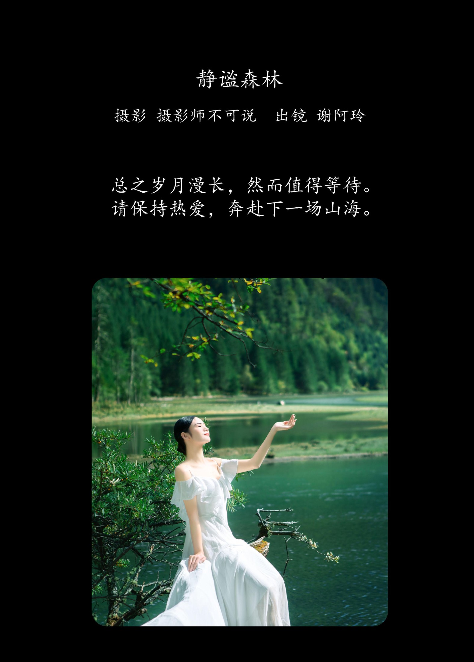 谢阿玲 – 《静谧森林》[26P] 插图2