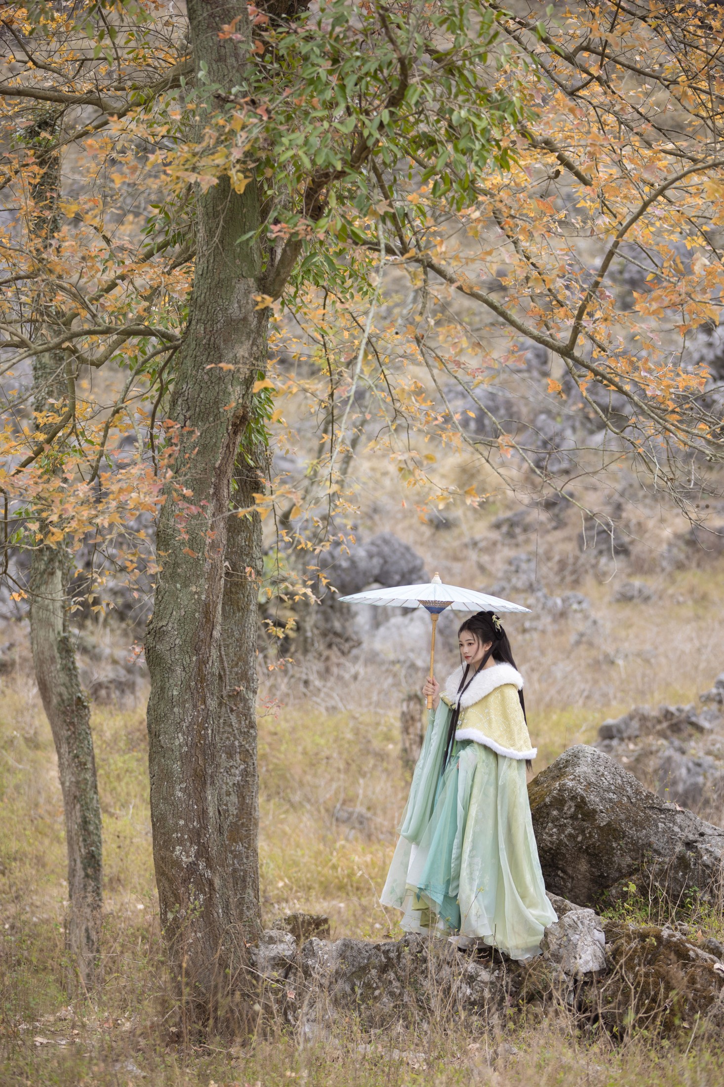 秋哒哒-- – 《枫》[25P] 插图5