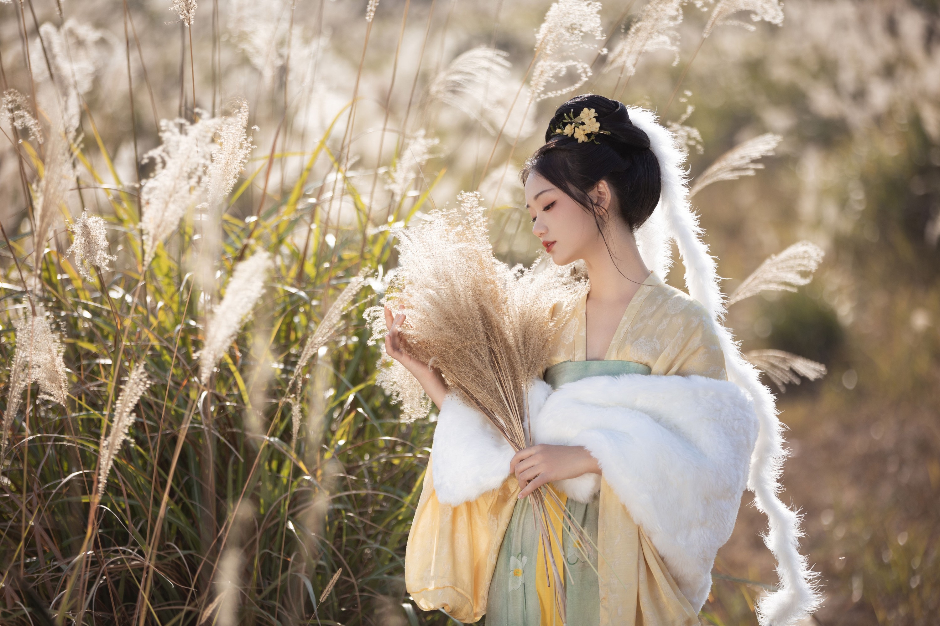 晚江亭 – 《芦苇晚风鸣》[26P] 插图3