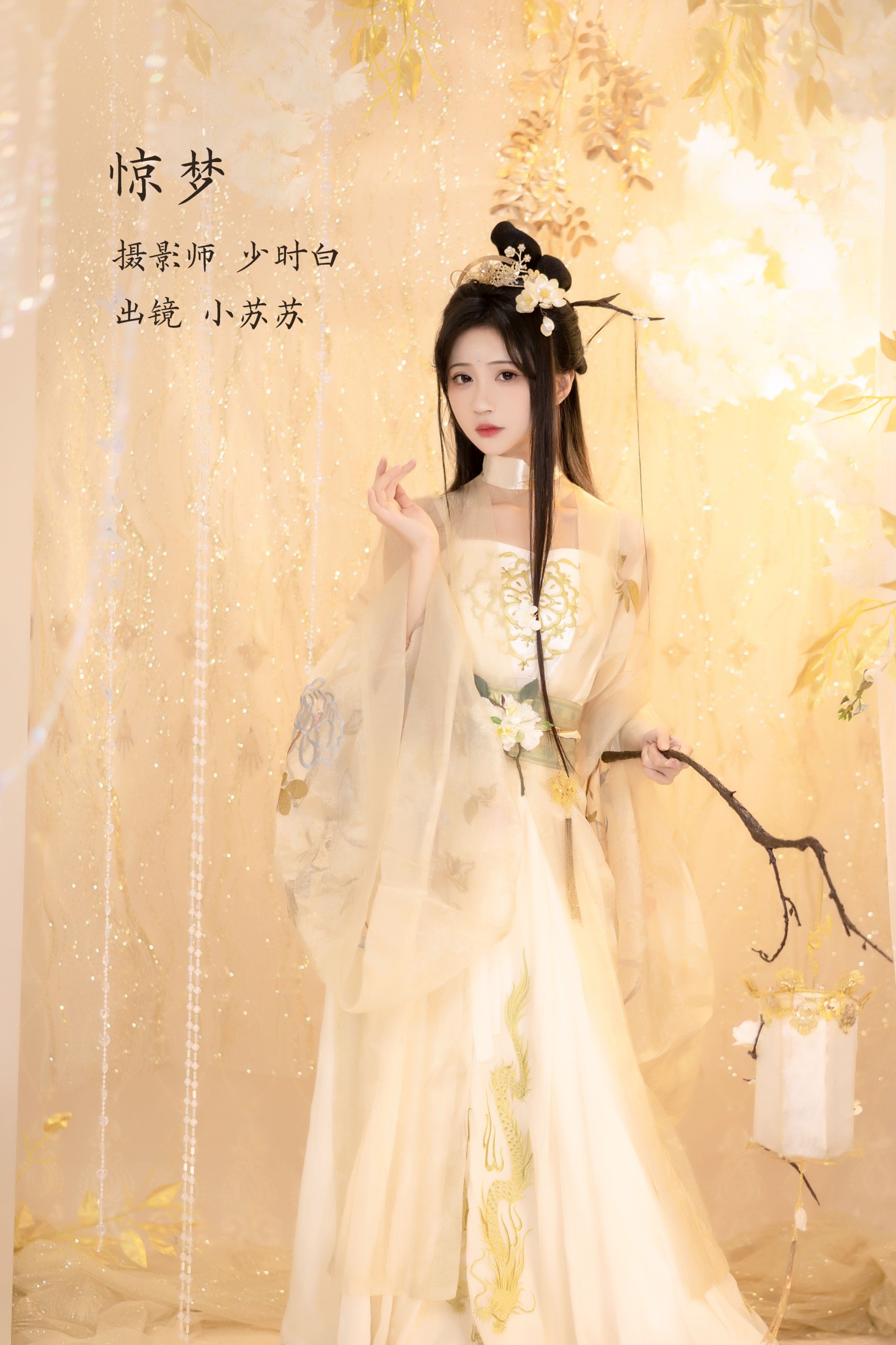 绮罗生的小苏苏 – 《惊梦》[27P]-66COS