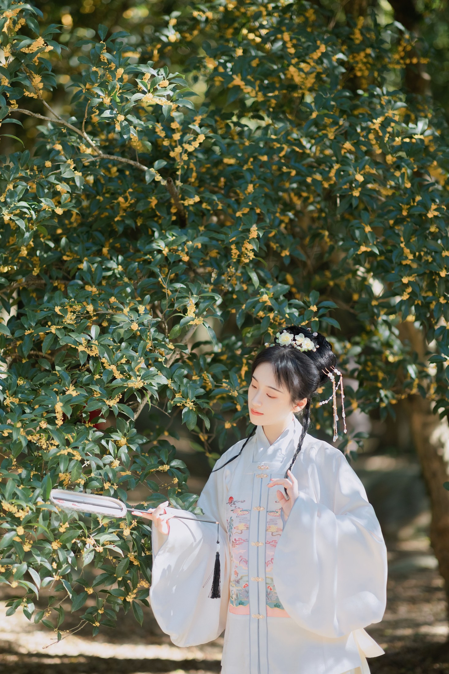 方莛玉 – 《折桂令》[33P] 插图3