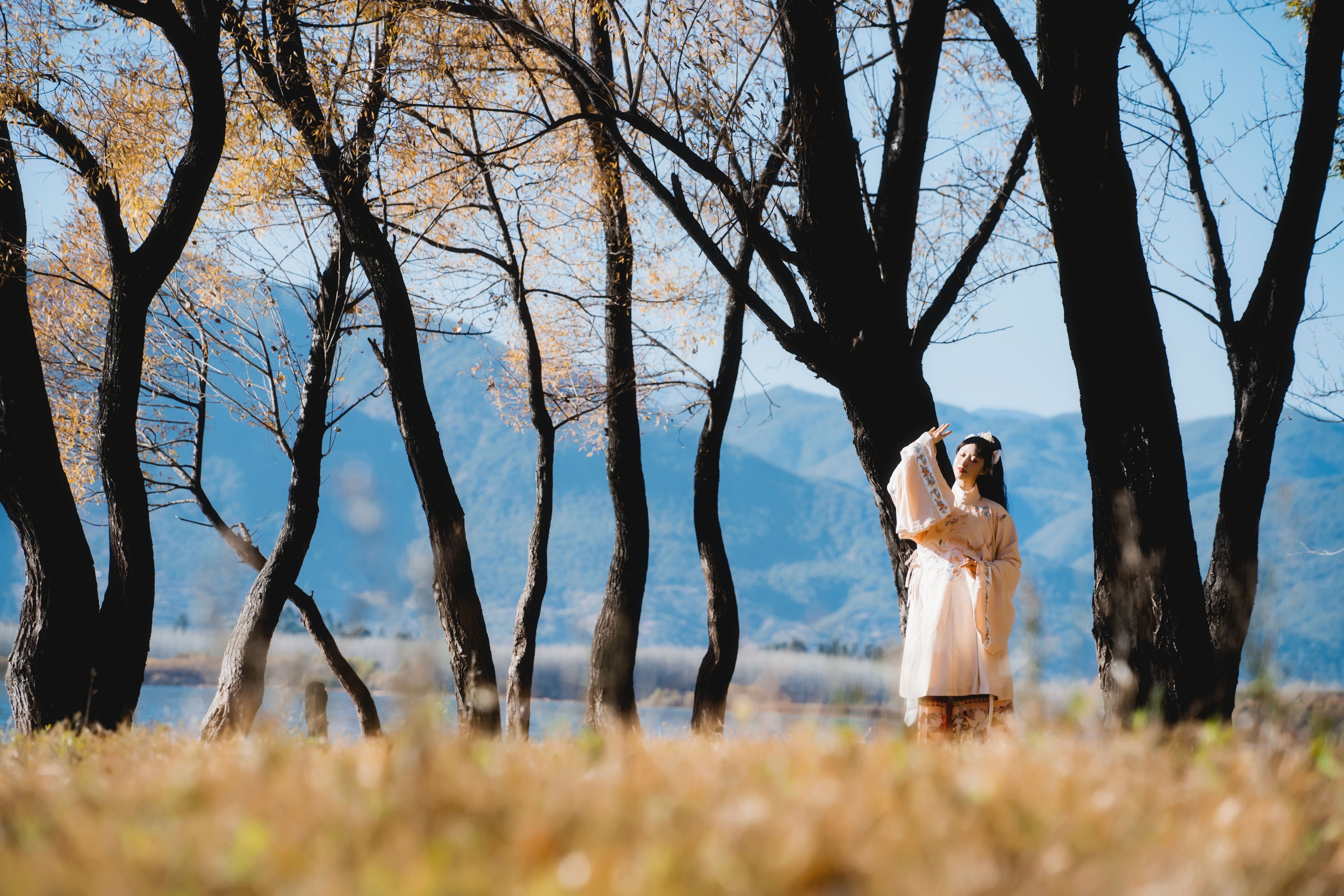 木棉棉VwV – 《山川如酒》[36P] 插图3