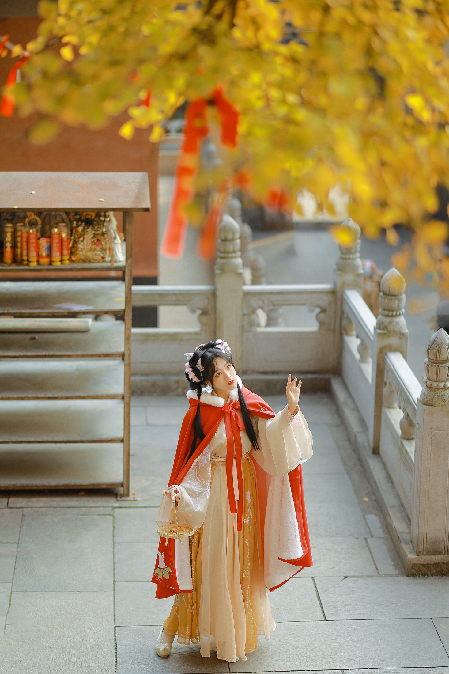 是蝶绪咩 – 《银杏汉服》[22P] 插图4