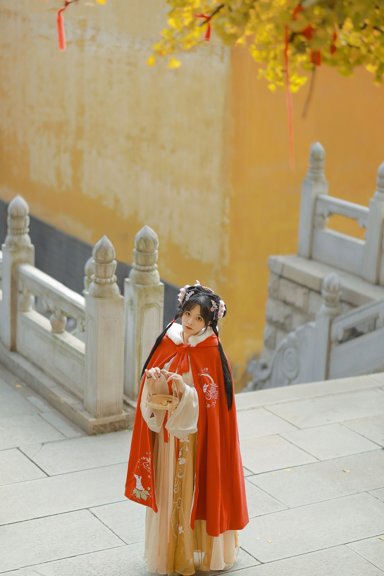 是蝶绪咩 – 《银杏汉服》[22P] 插图5