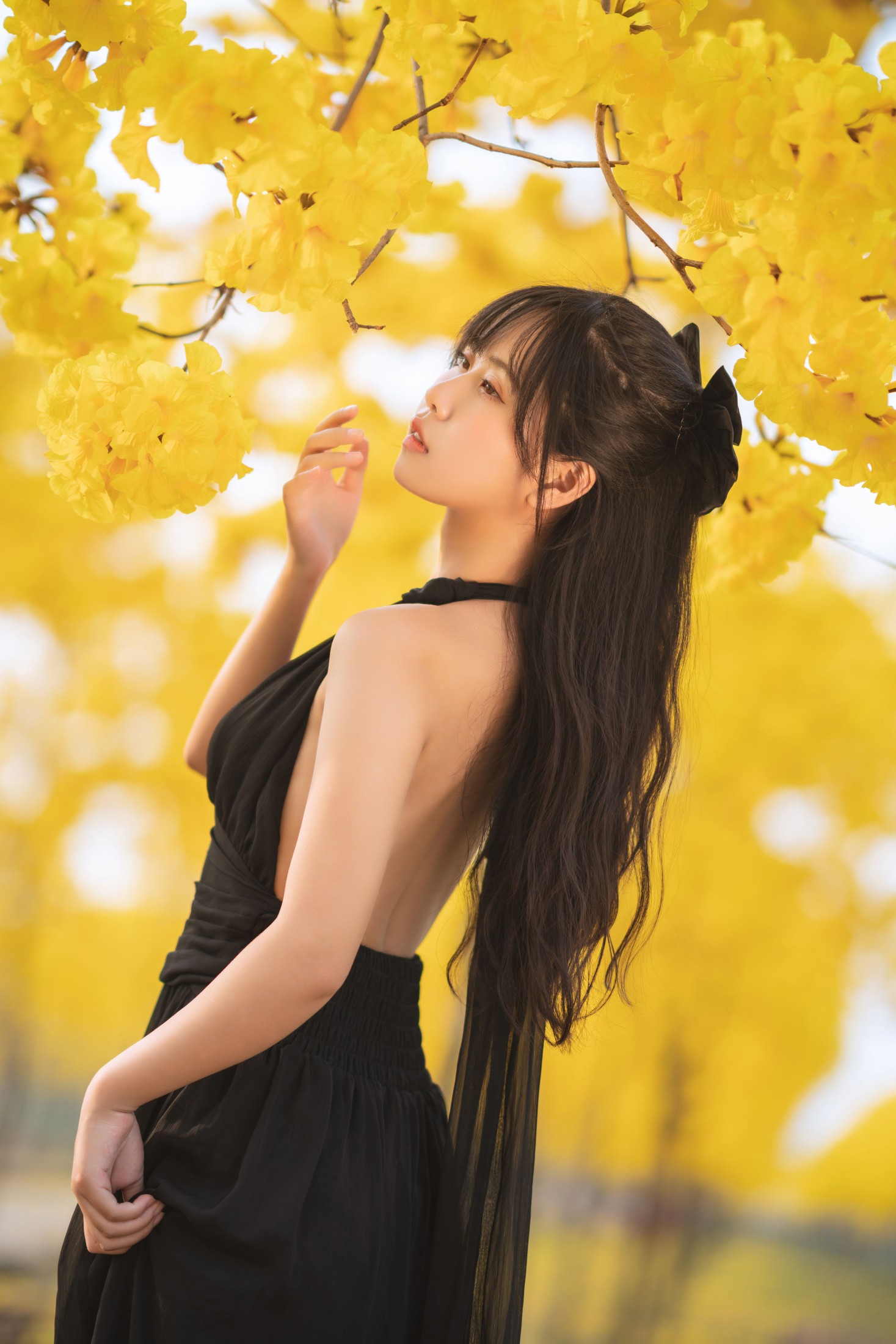 萌芽儿o0 – 《秋有银杏 春有黄风铃》[25P] 插图3