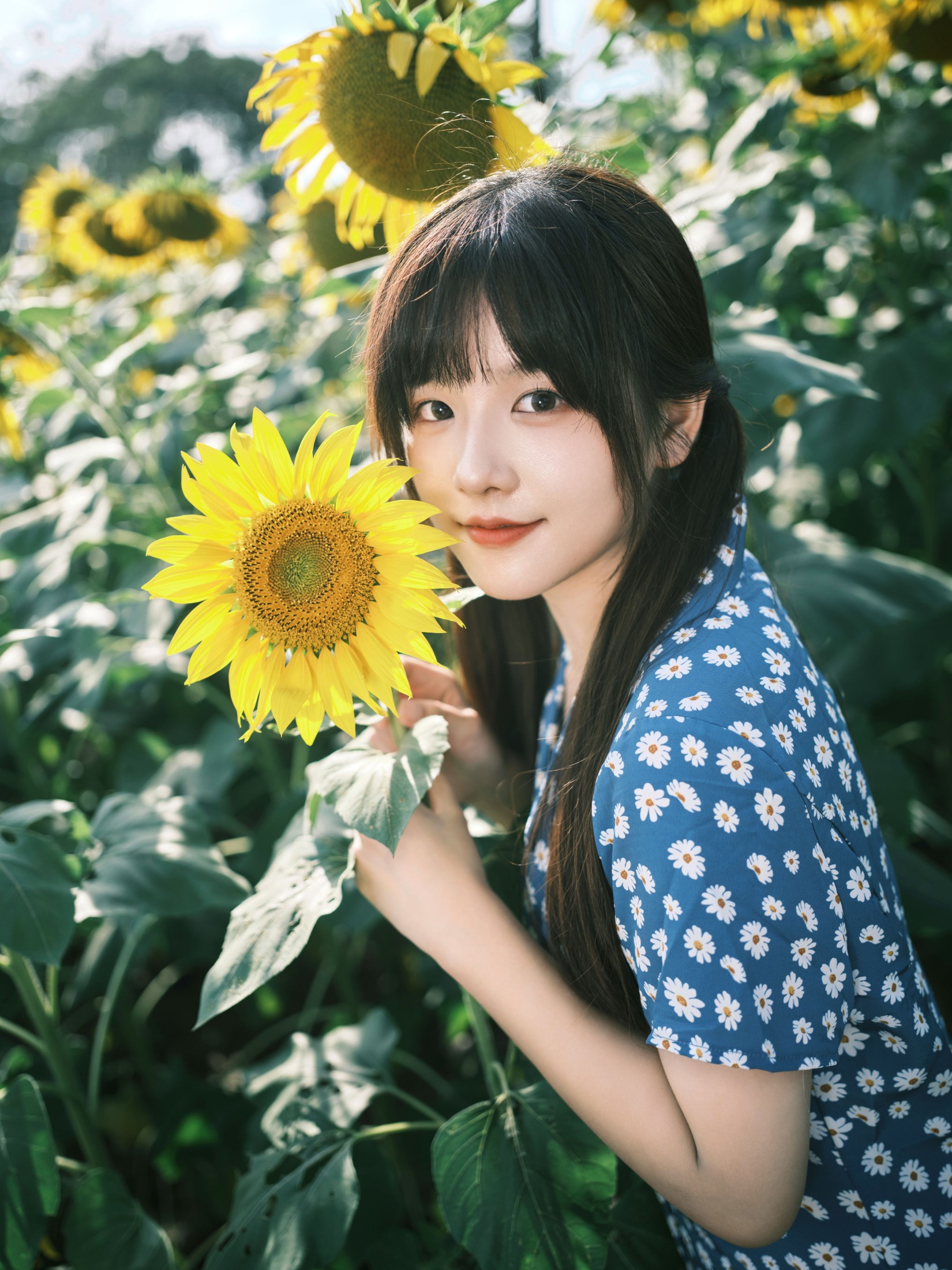 宵宵喵 – 《向日葵》[28P] 插图3