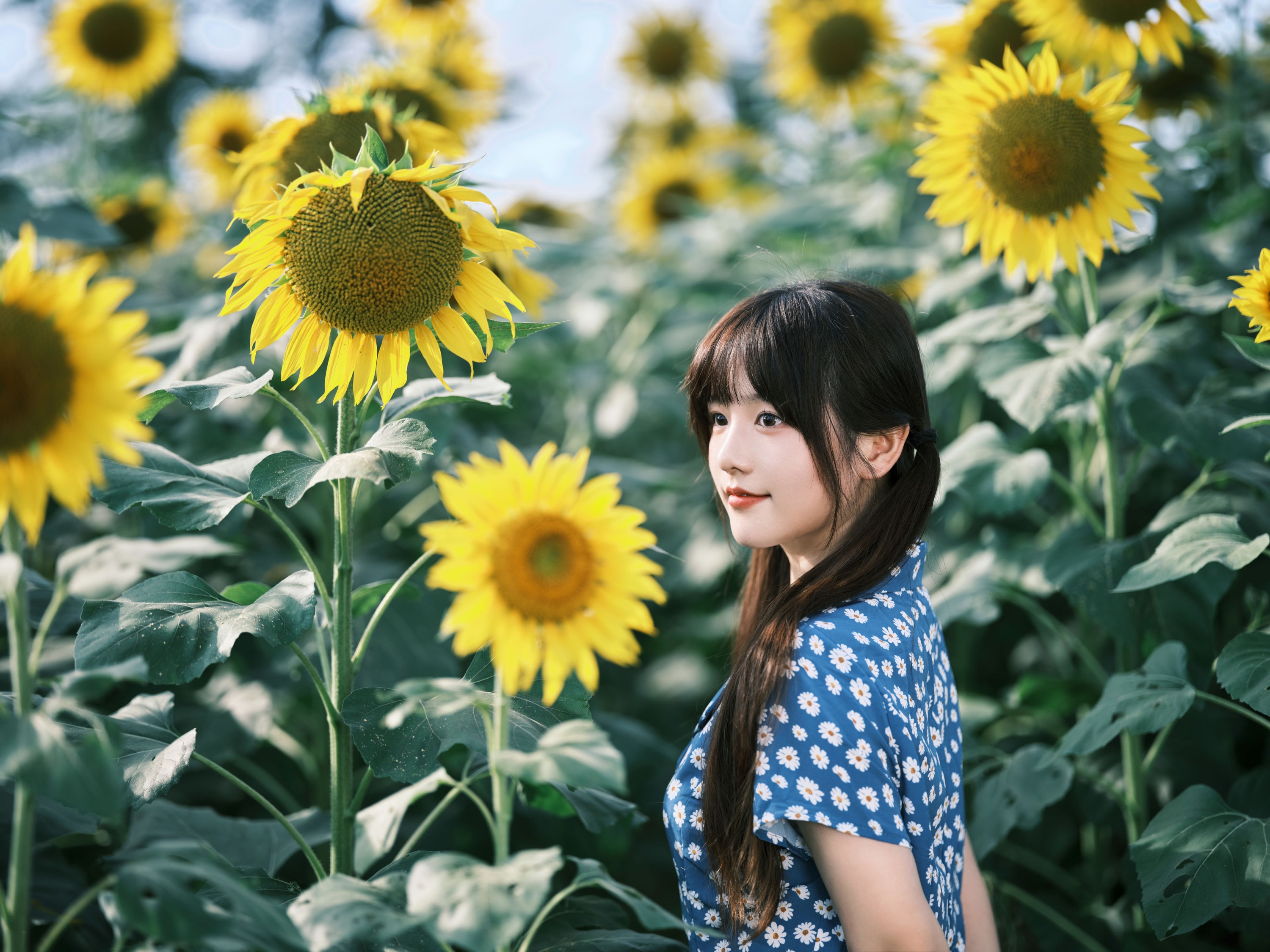 宵宵喵 – 《向日葵》[28P] 插图4