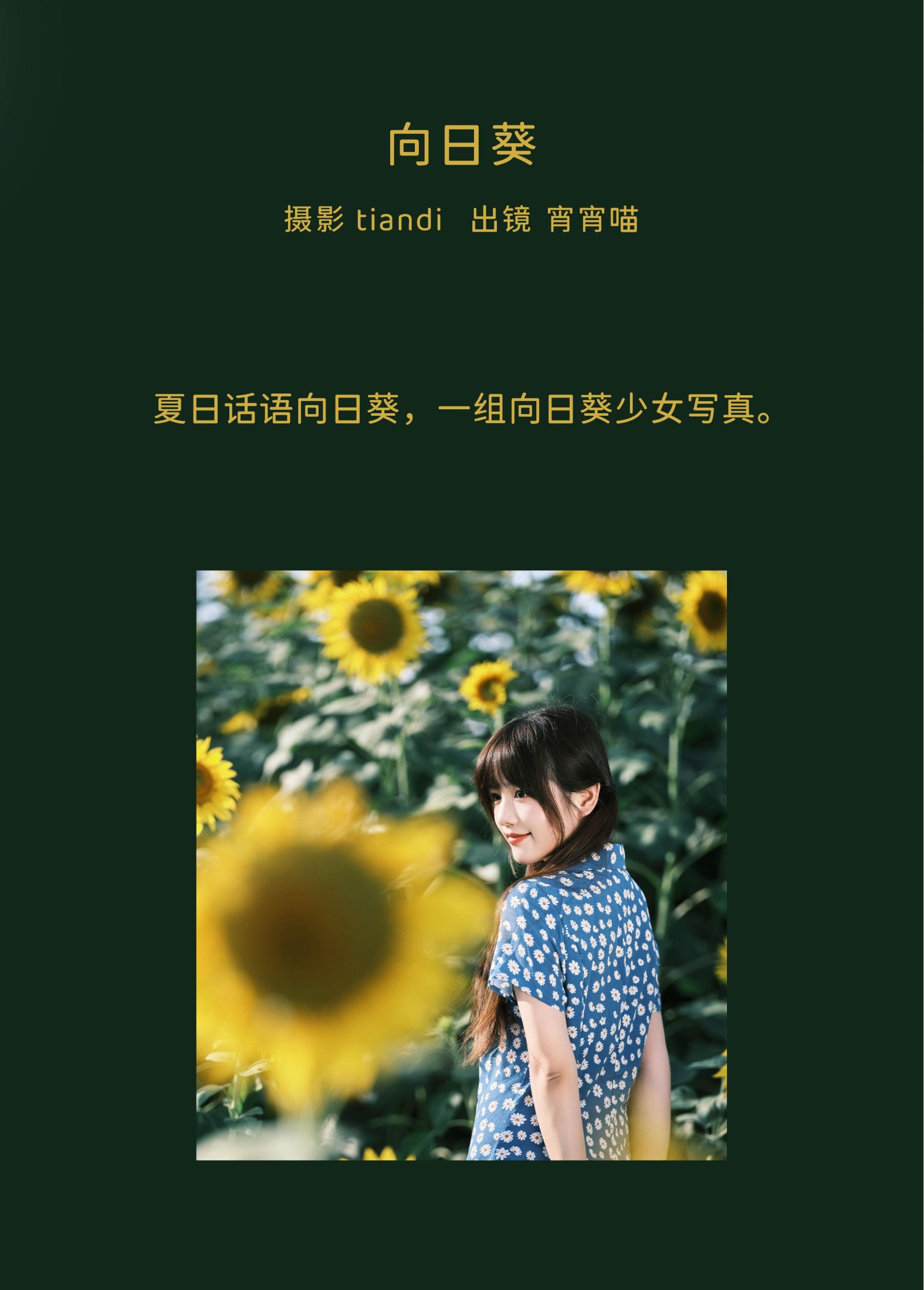 宵宵喵 – 《向日葵》[28P] 插图2