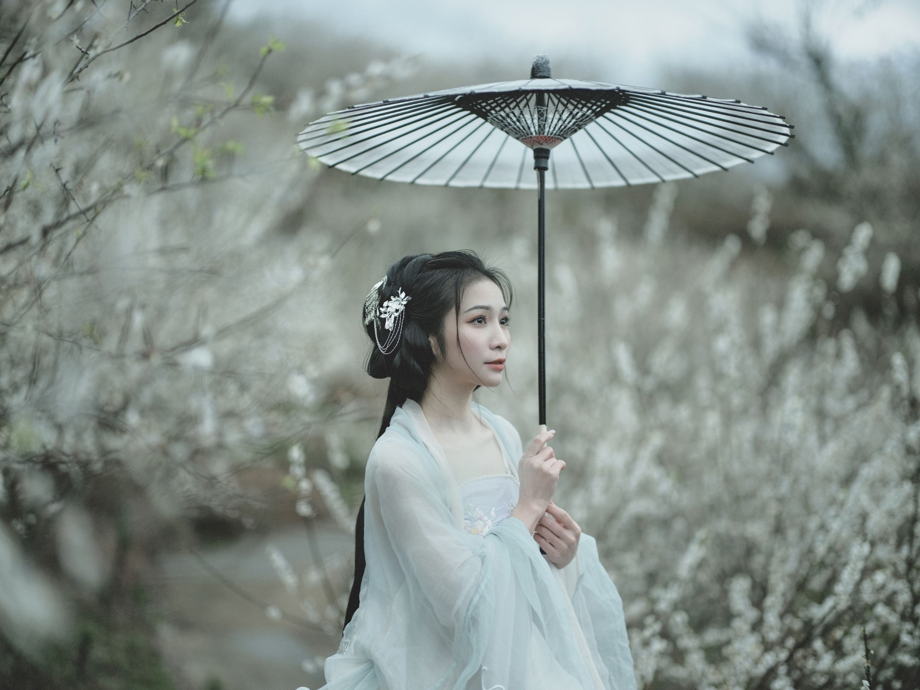 轻舟 – 《冬梅》[26P] 插图5