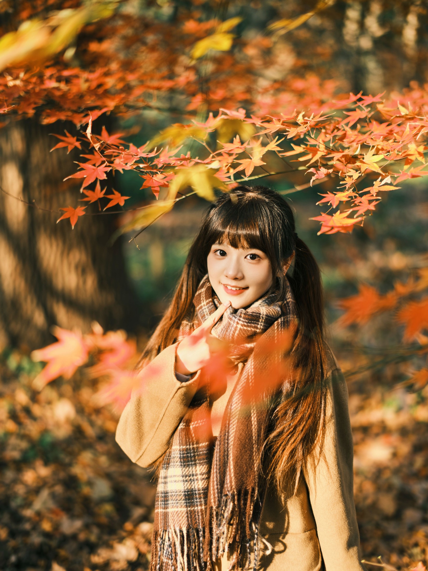 宵宵喵 – 《枫》[34P] 插图5