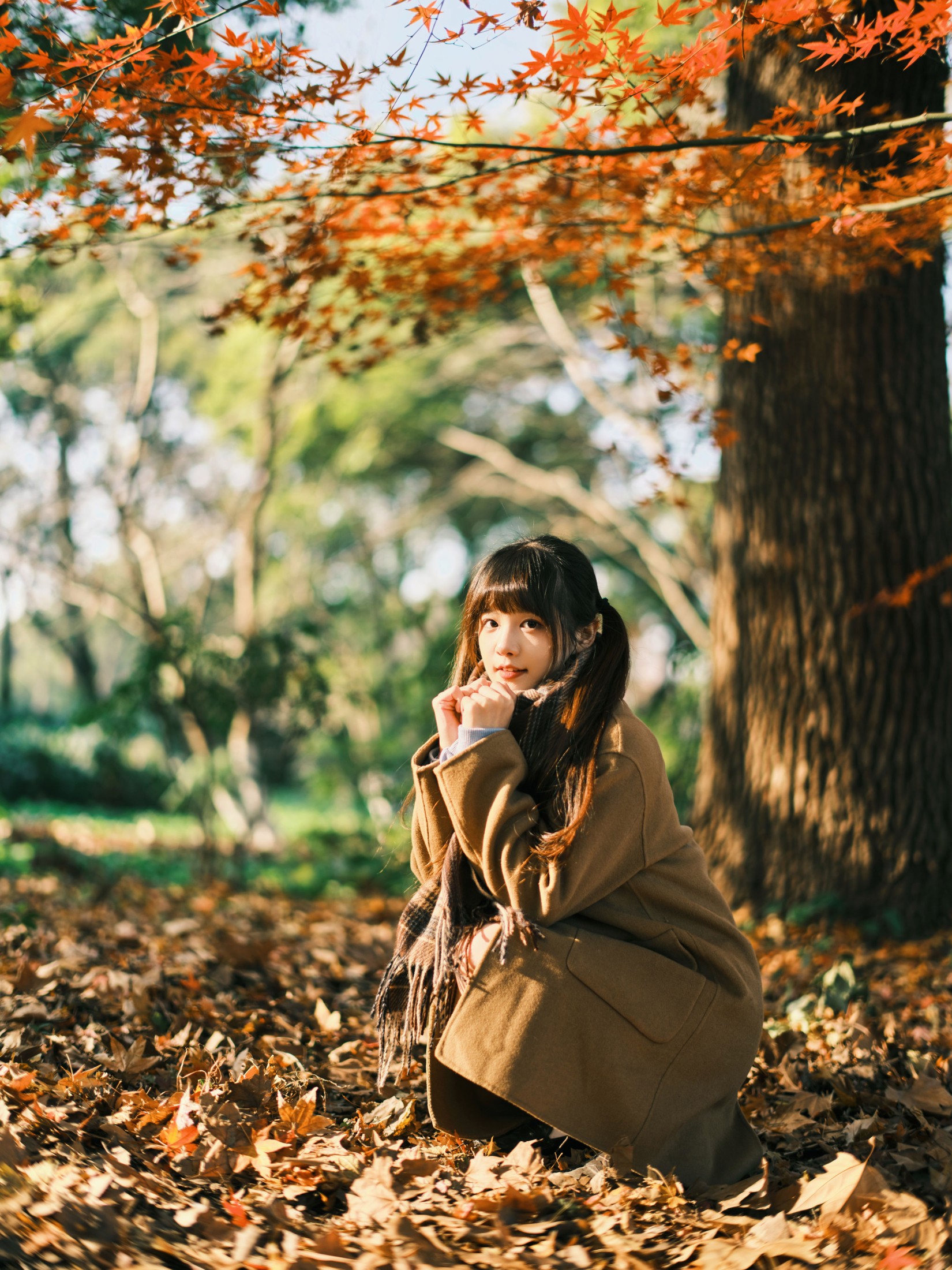 宵宵喵 – 《枫》[34P] 插图4