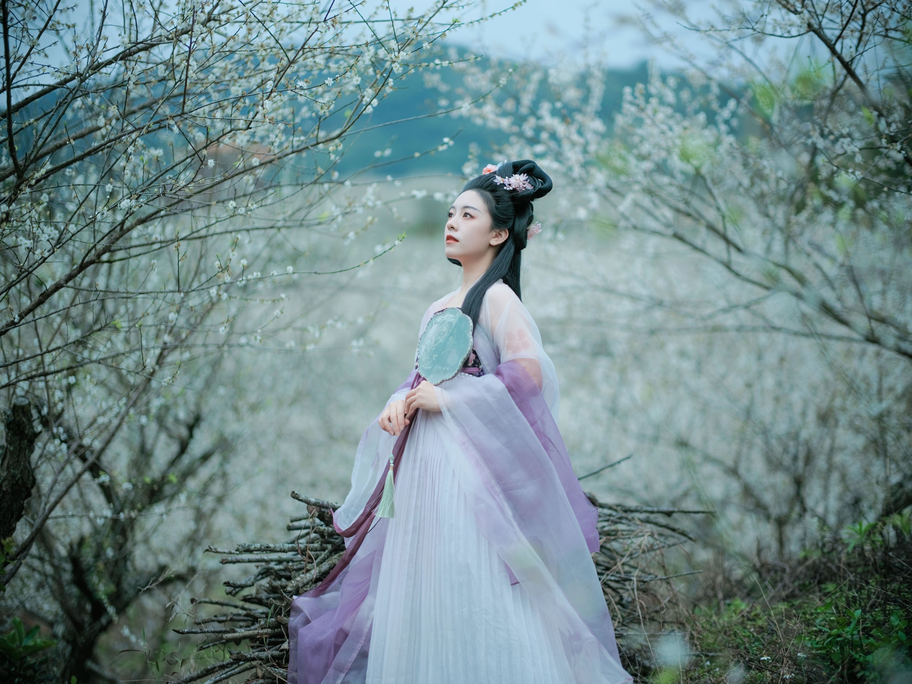 乐嫣 – 《梅花三弄》[27P] 插图5