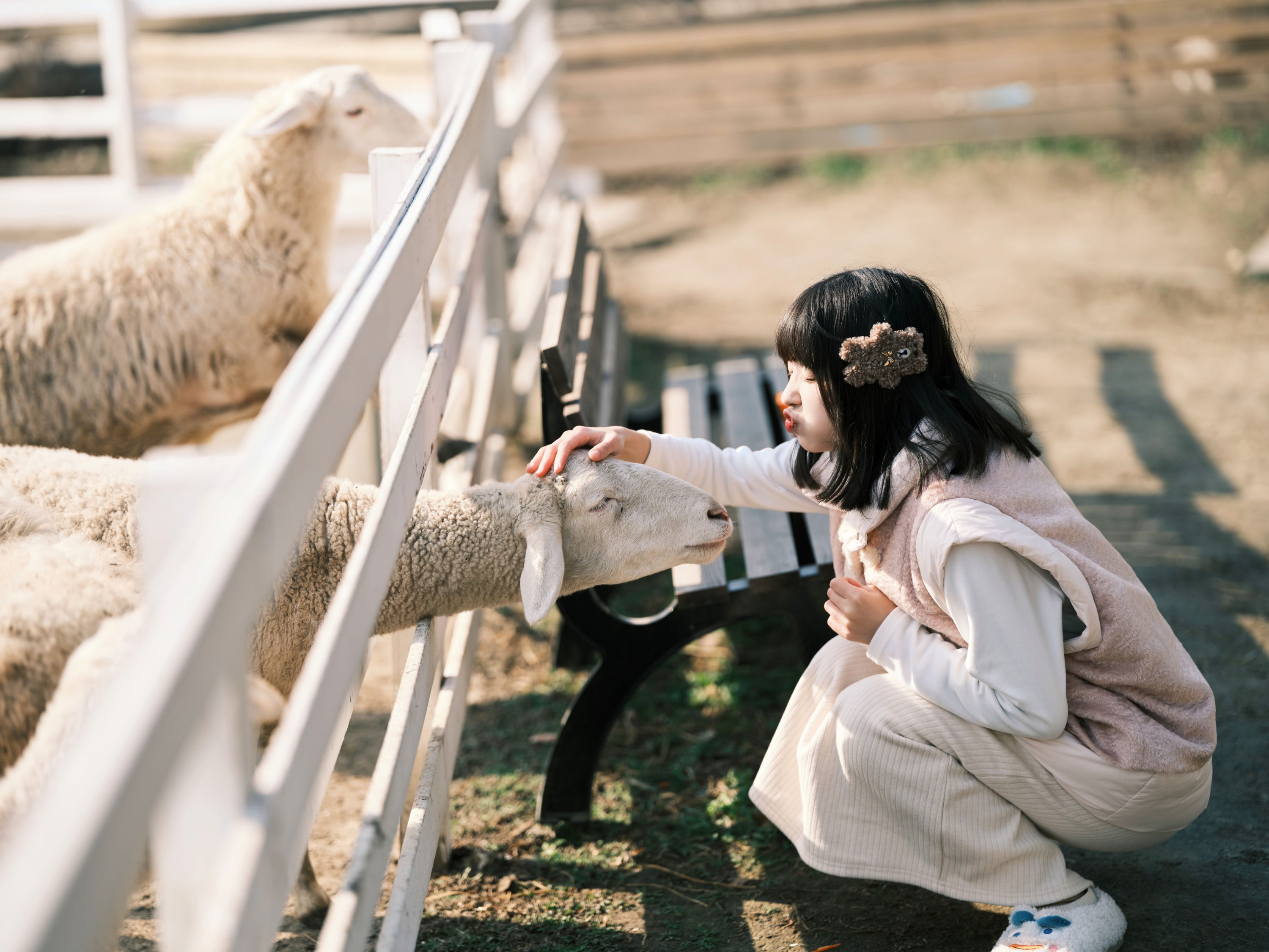 宁宁头w – 《牧场物语》[38P] 插图5