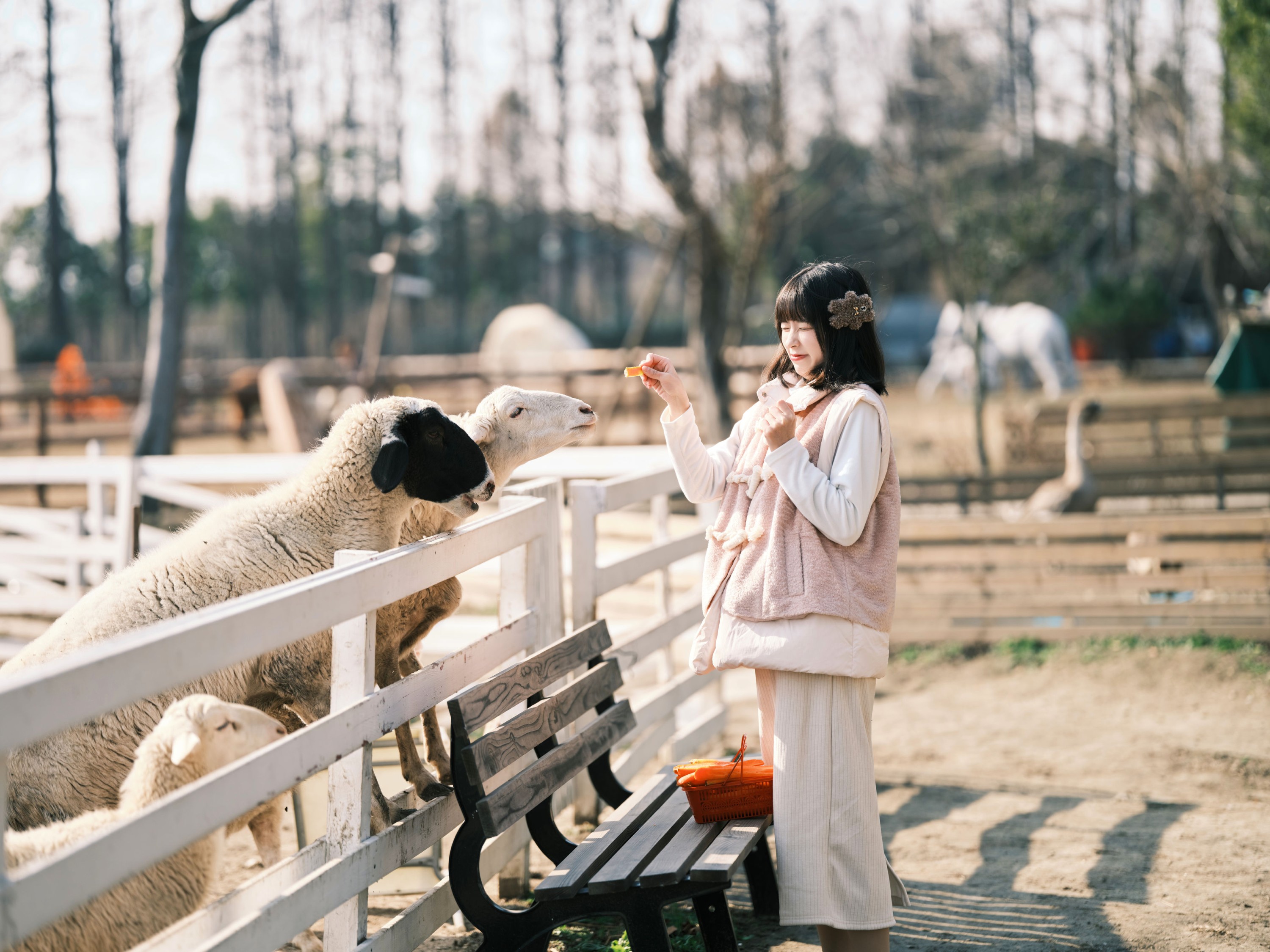 宁宁头w – 《牧场物语》[38P] 插图4