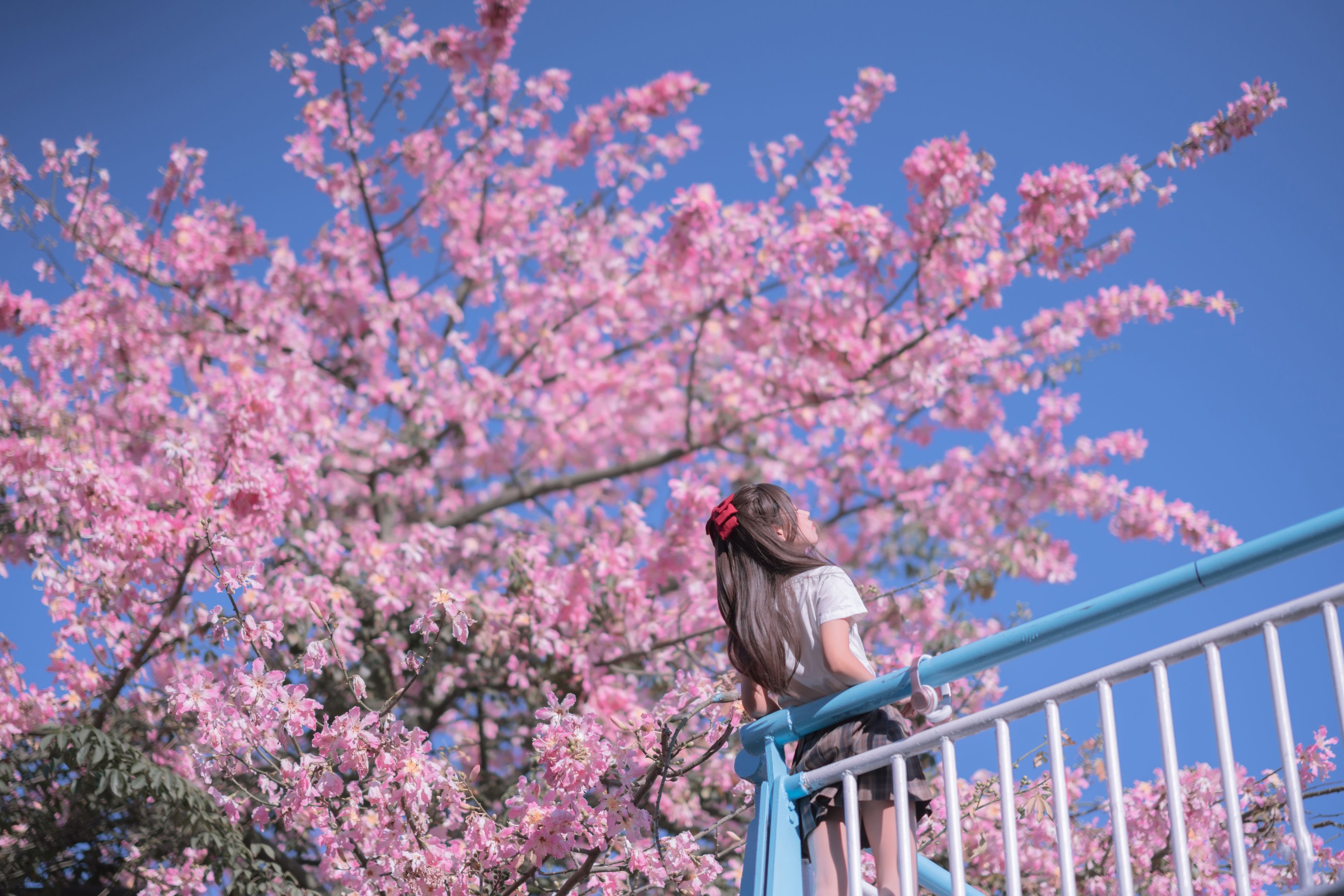 萌芽儿o0 – 《异木棉花》[28P] 插图3