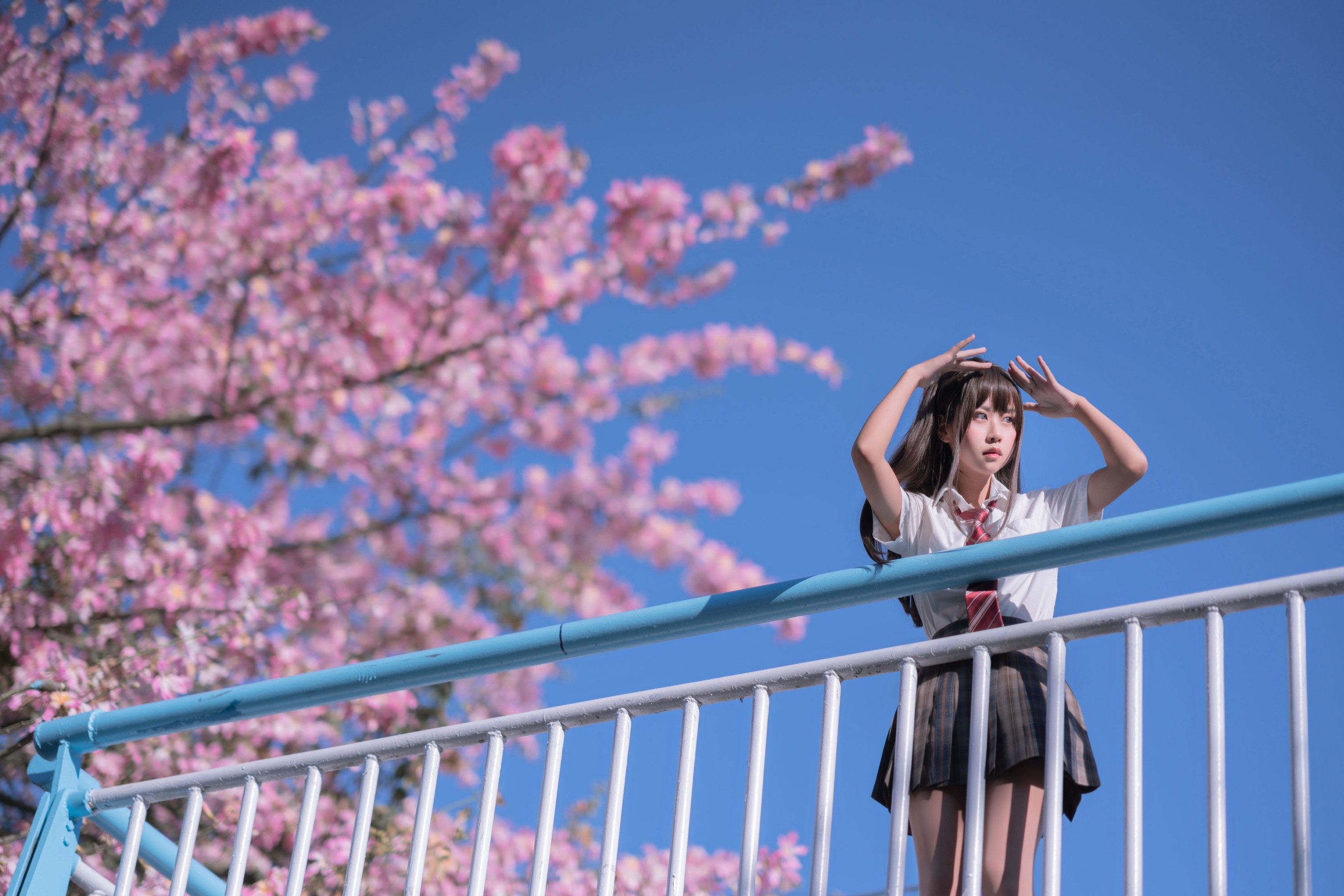 萌芽儿o0 – 《异木棉花》[28P] 插图5