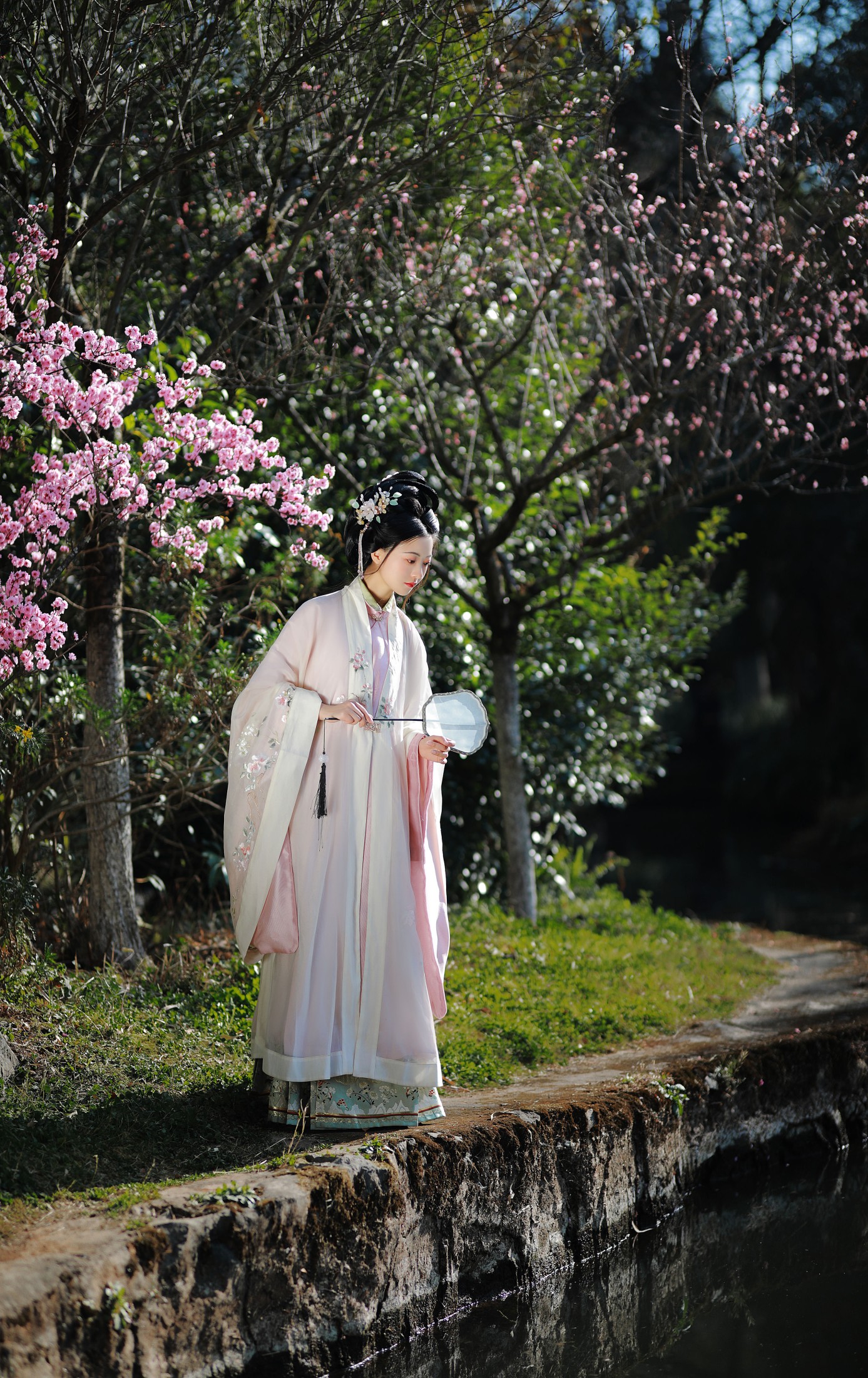 与芳 – 《安之若命》[33P] 插图4