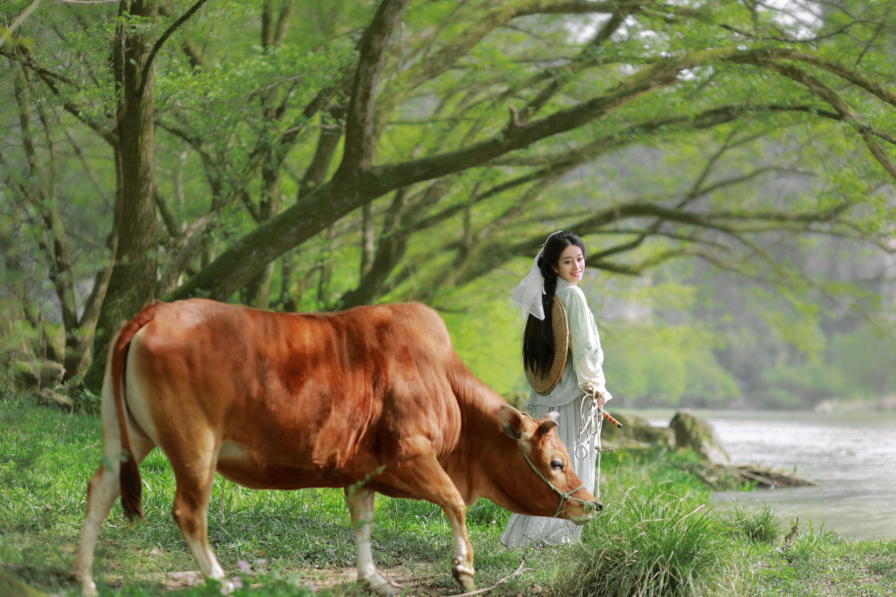 小清菡呀  – 《 牧牛》[22P] 插图3