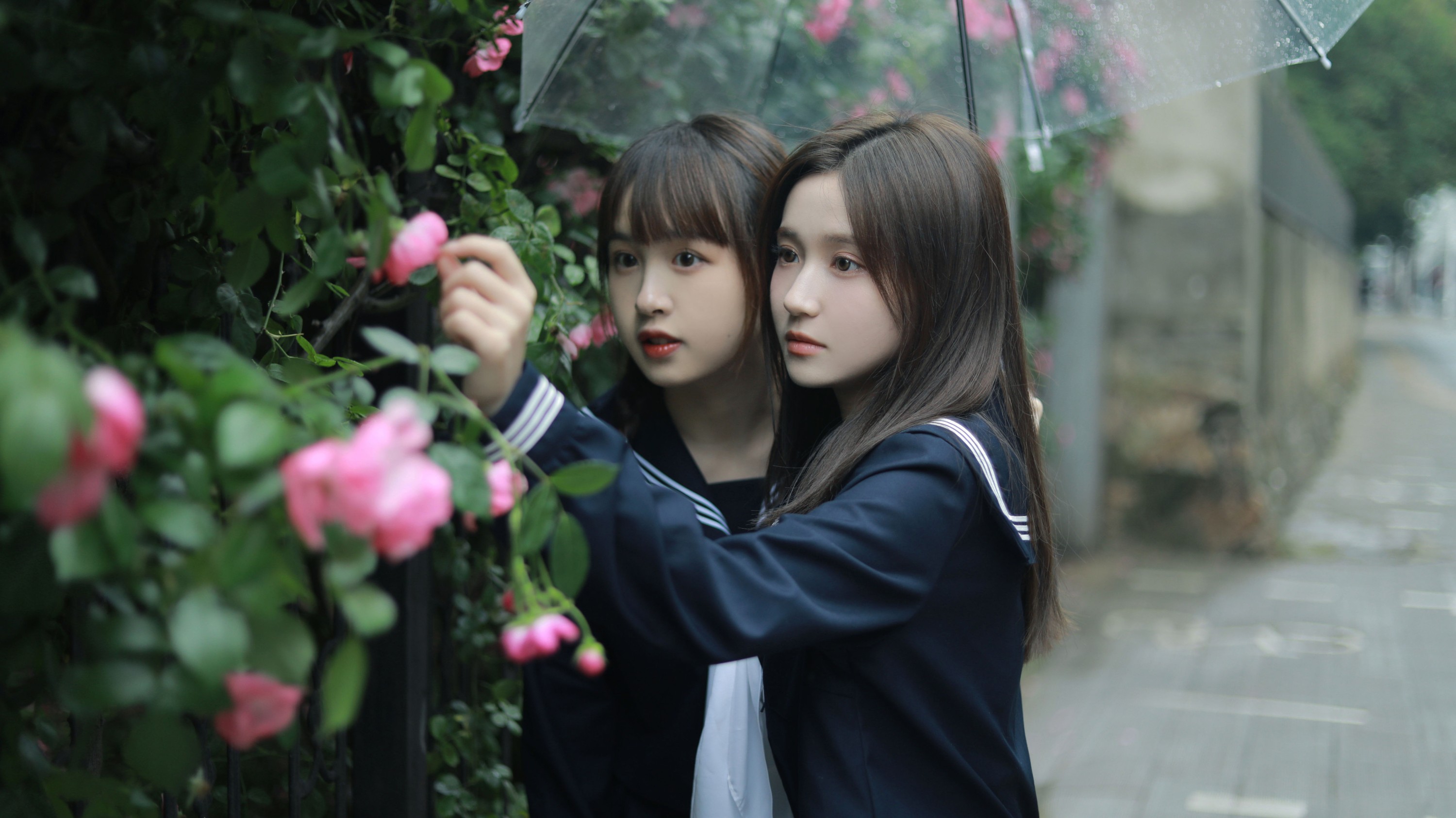 大元梦二 璨璨 – 《花与爱丽丝》[30P] 插图3