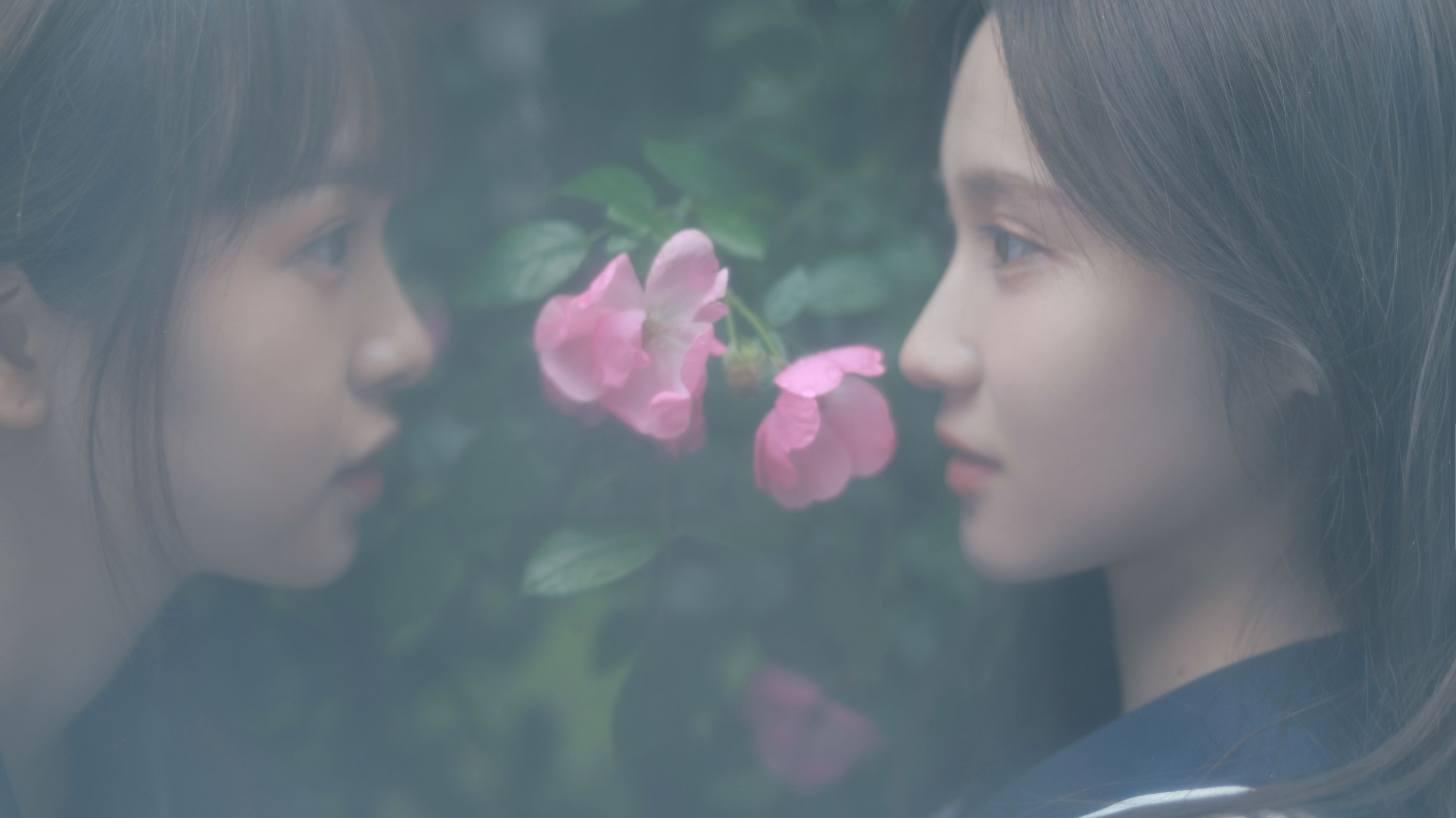 大元梦二 璨璨 – 《花与爱丽丝》[30P] 插图5