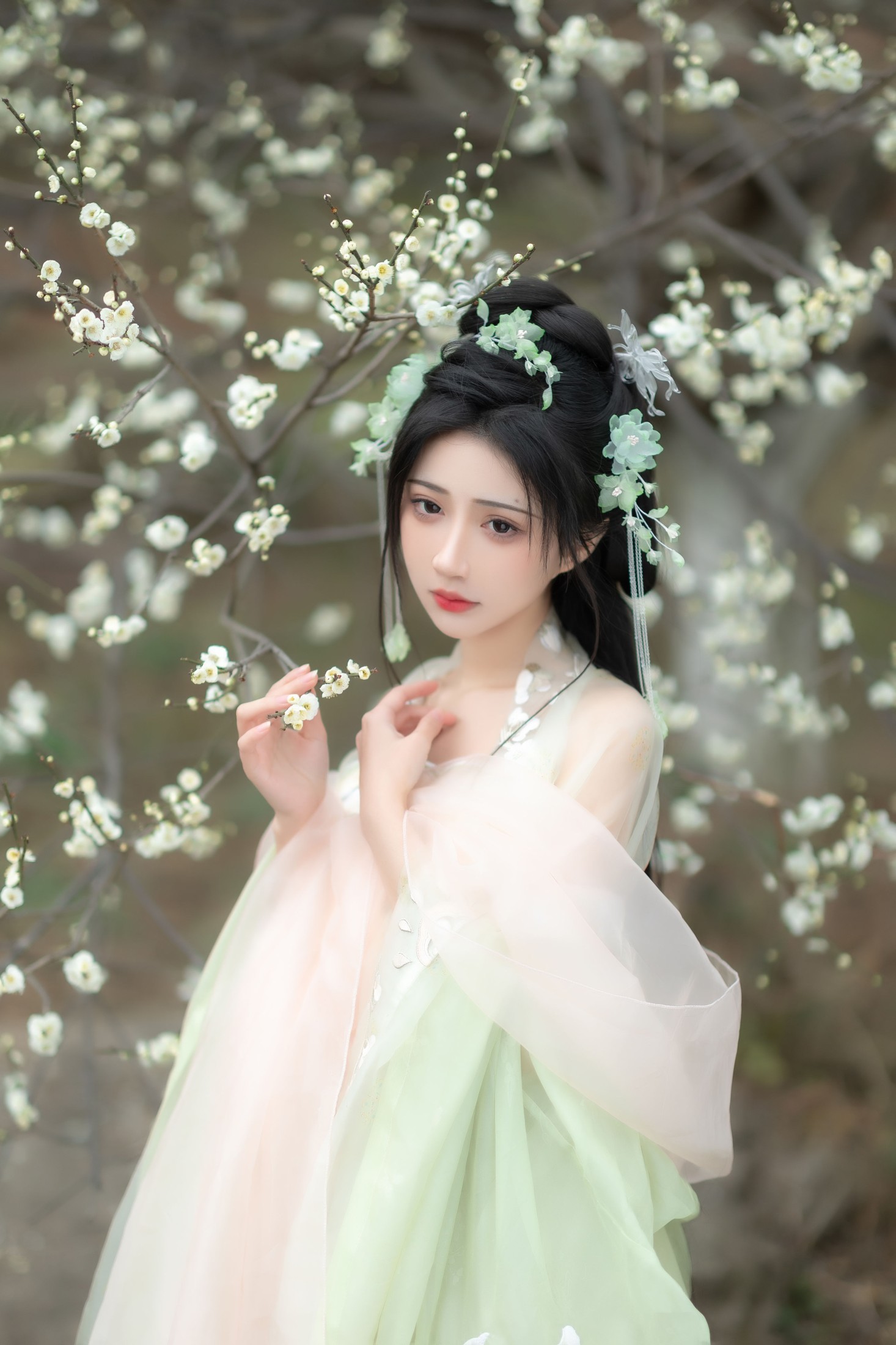 绮罗生的小苏苏 – 《故逢春》[26P] 插图3