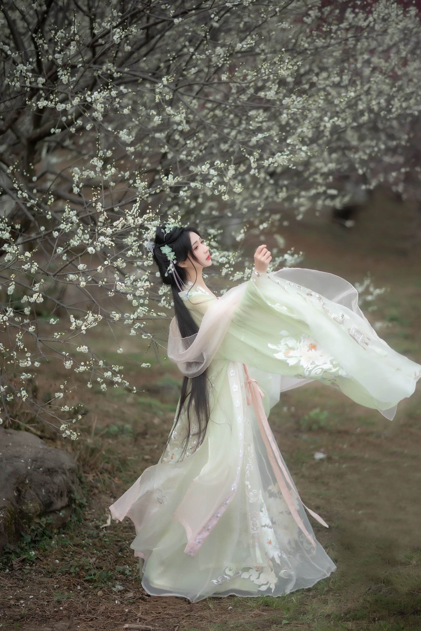 绮罗生的小苏苏 – 《故逢春》[26P] 插图5