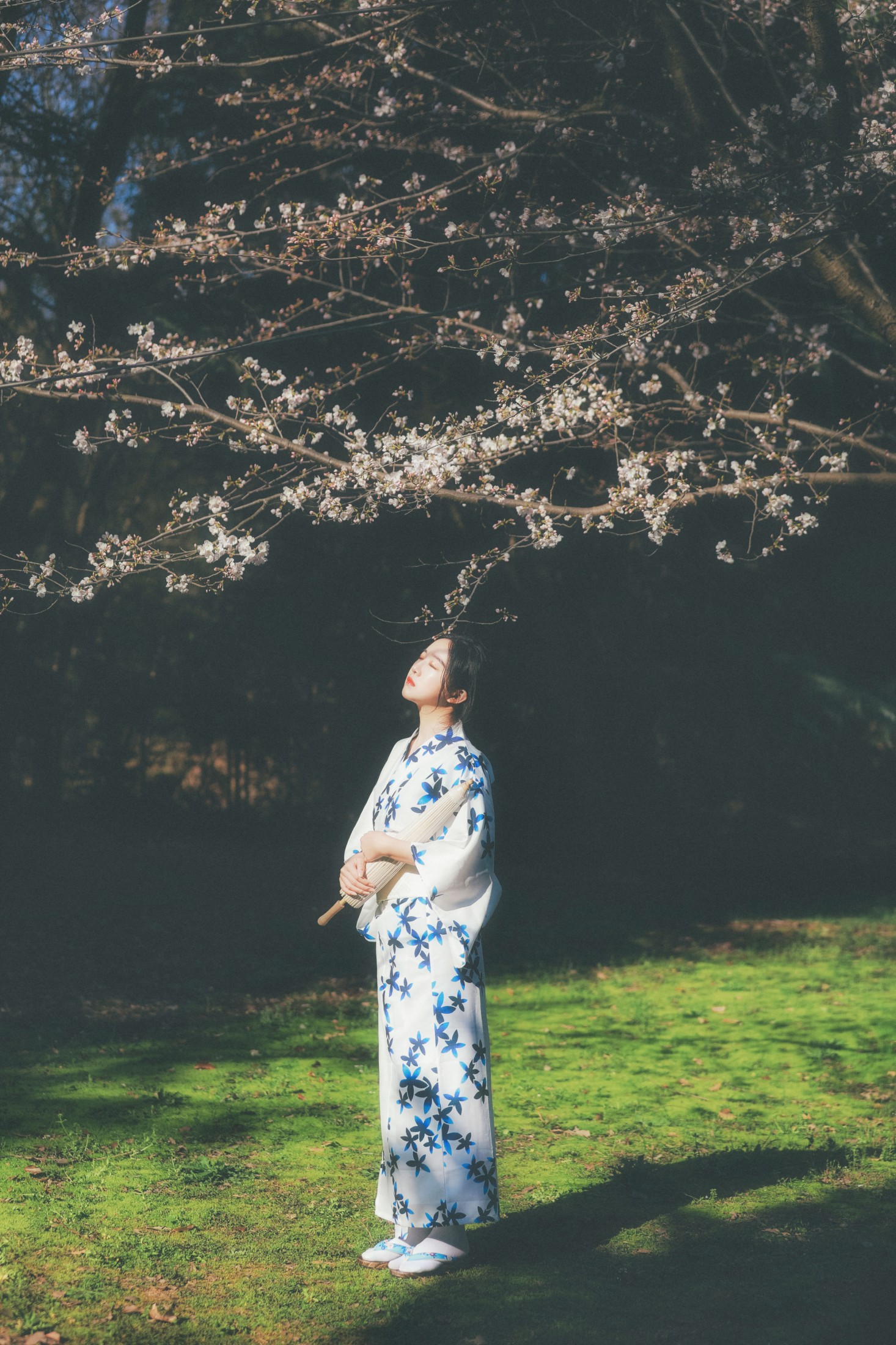 知岫 – 《等候春天》[24P] 插图5