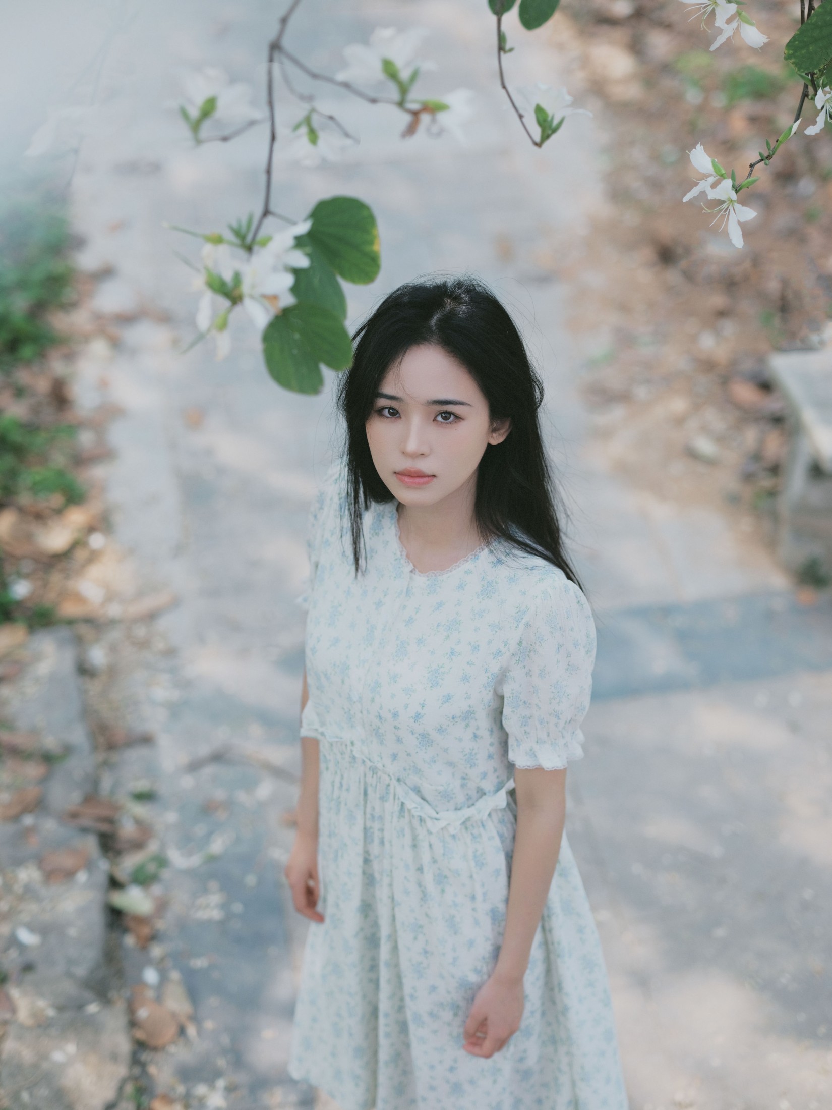 仲夏廿一 – 《时光画卷》[40P] 插图4