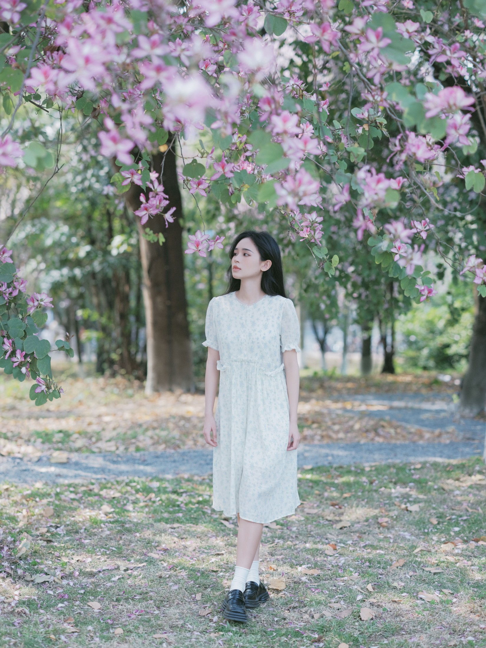 仲夏廿一 – 《时光画卷》[40P] 插图3