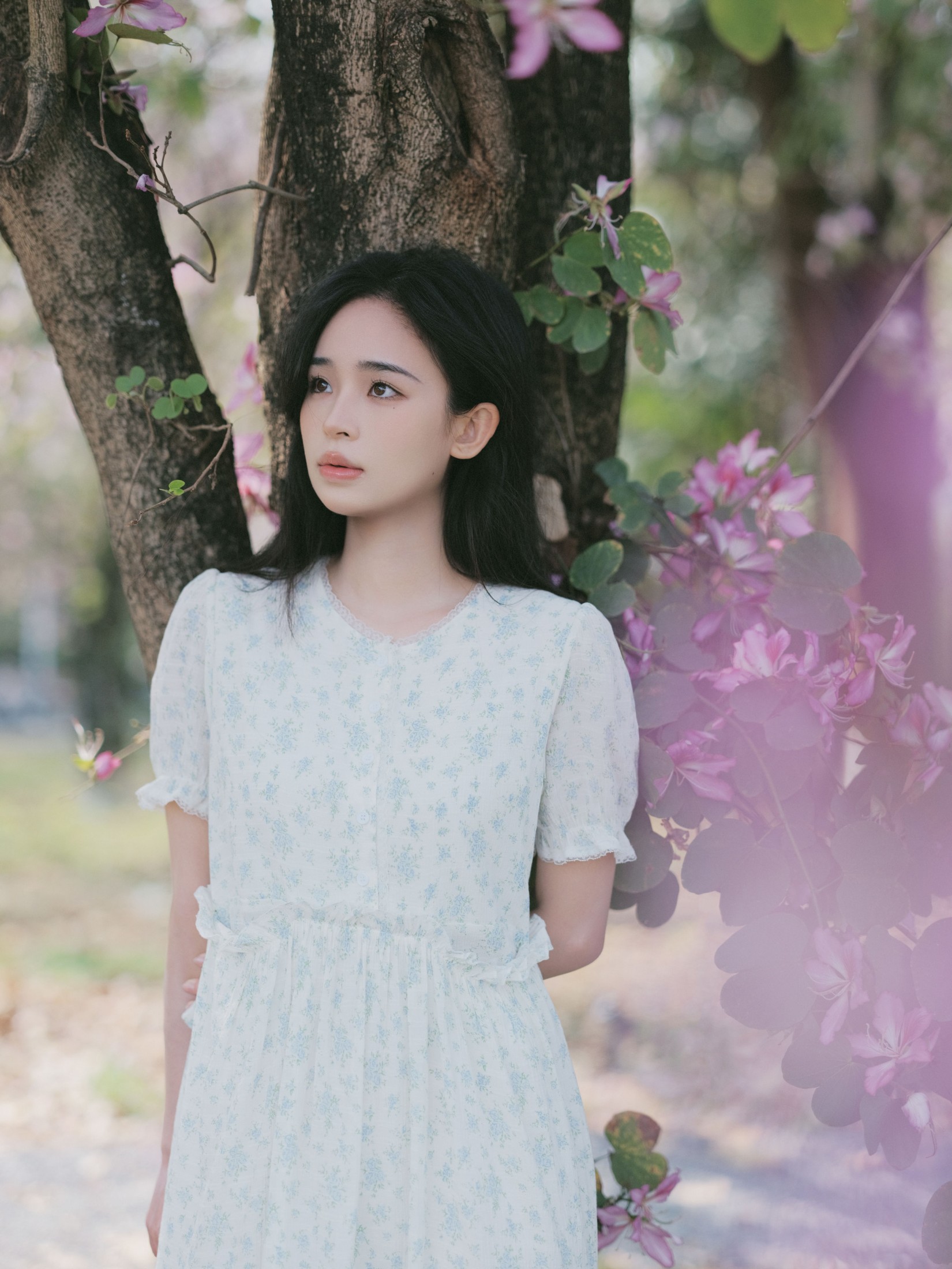 仲夏廿一 – 《时光画卷》[40P] 插图5