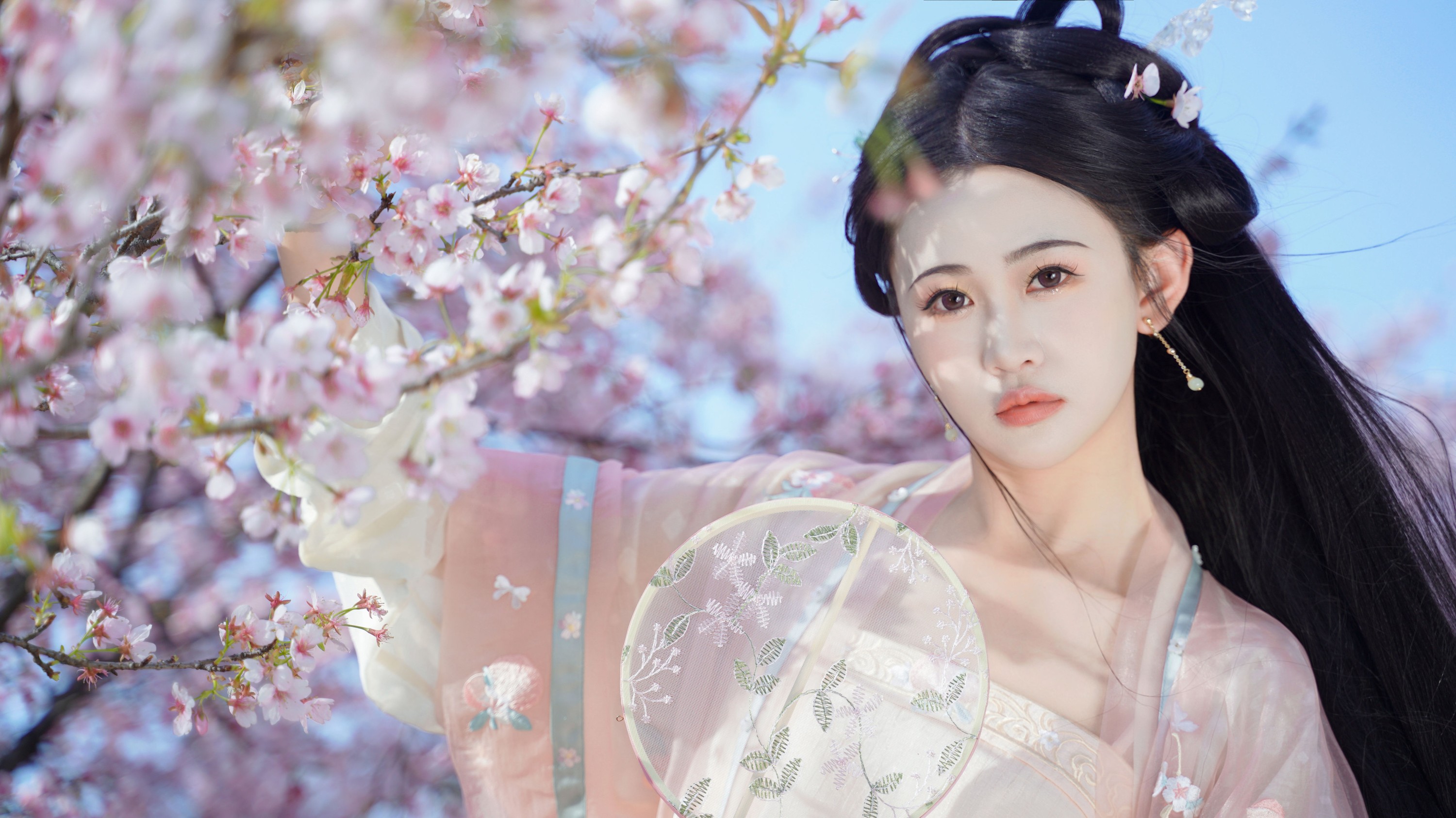 湫一只岁岁 – 《樱之花》[23P] 插图3