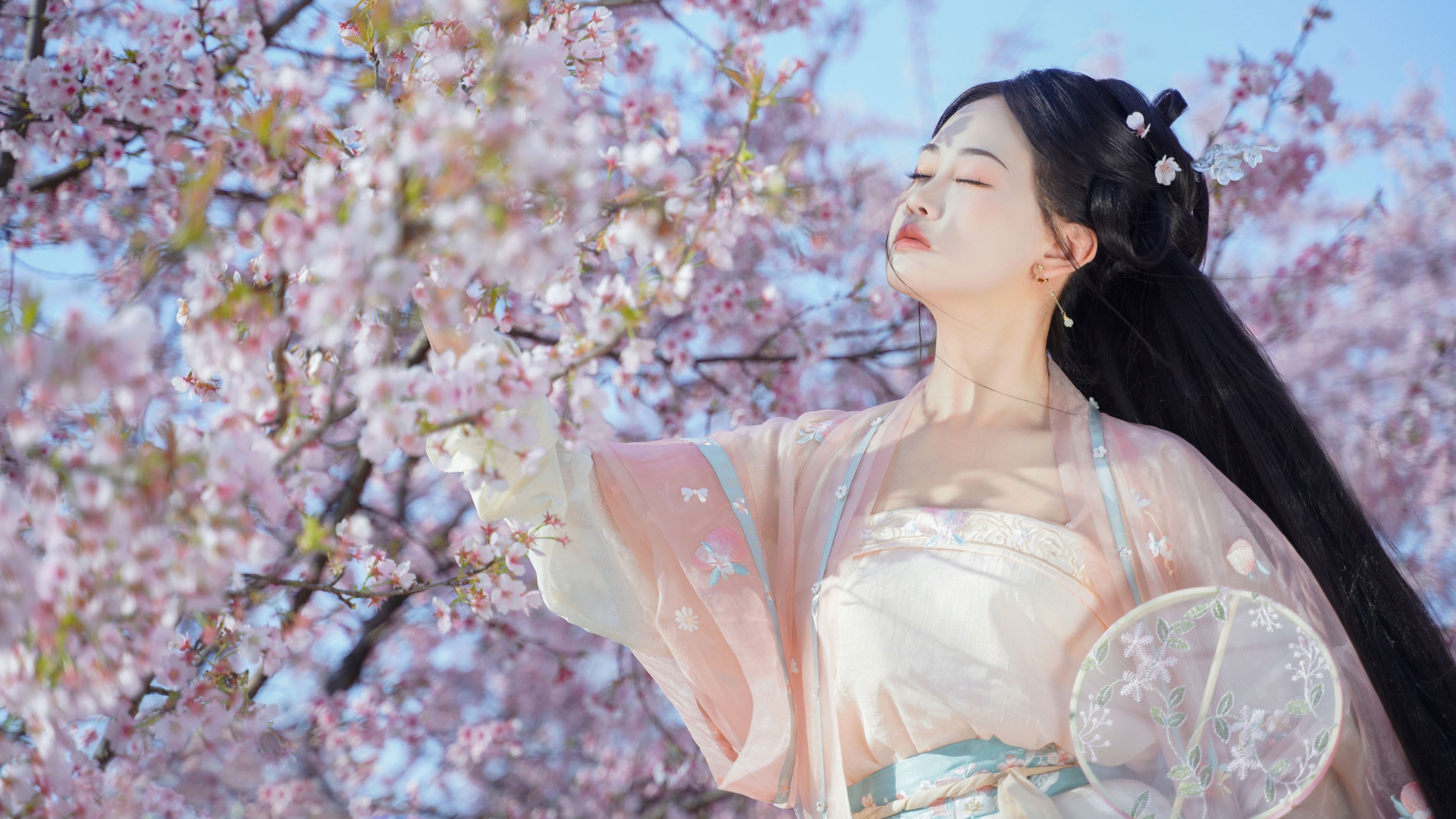 湫一只岁岁 – 《樱之花》[23P] 插图4