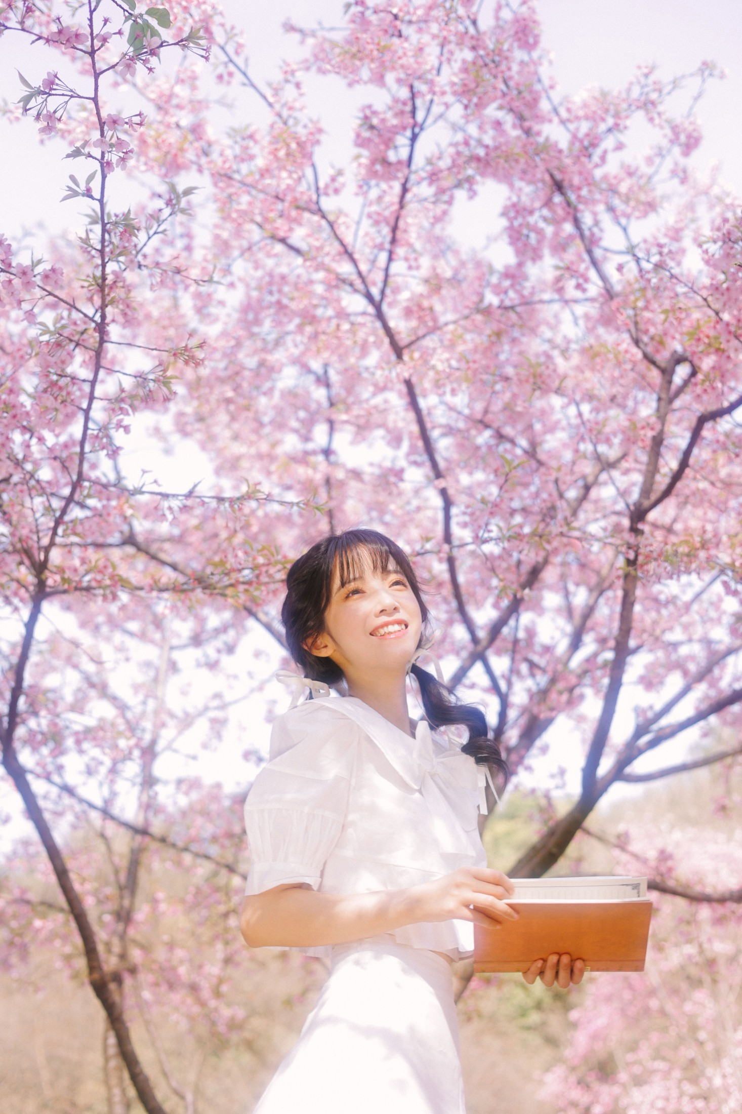 一只阿梦崽 – 《粉樱》[29P] 插图4