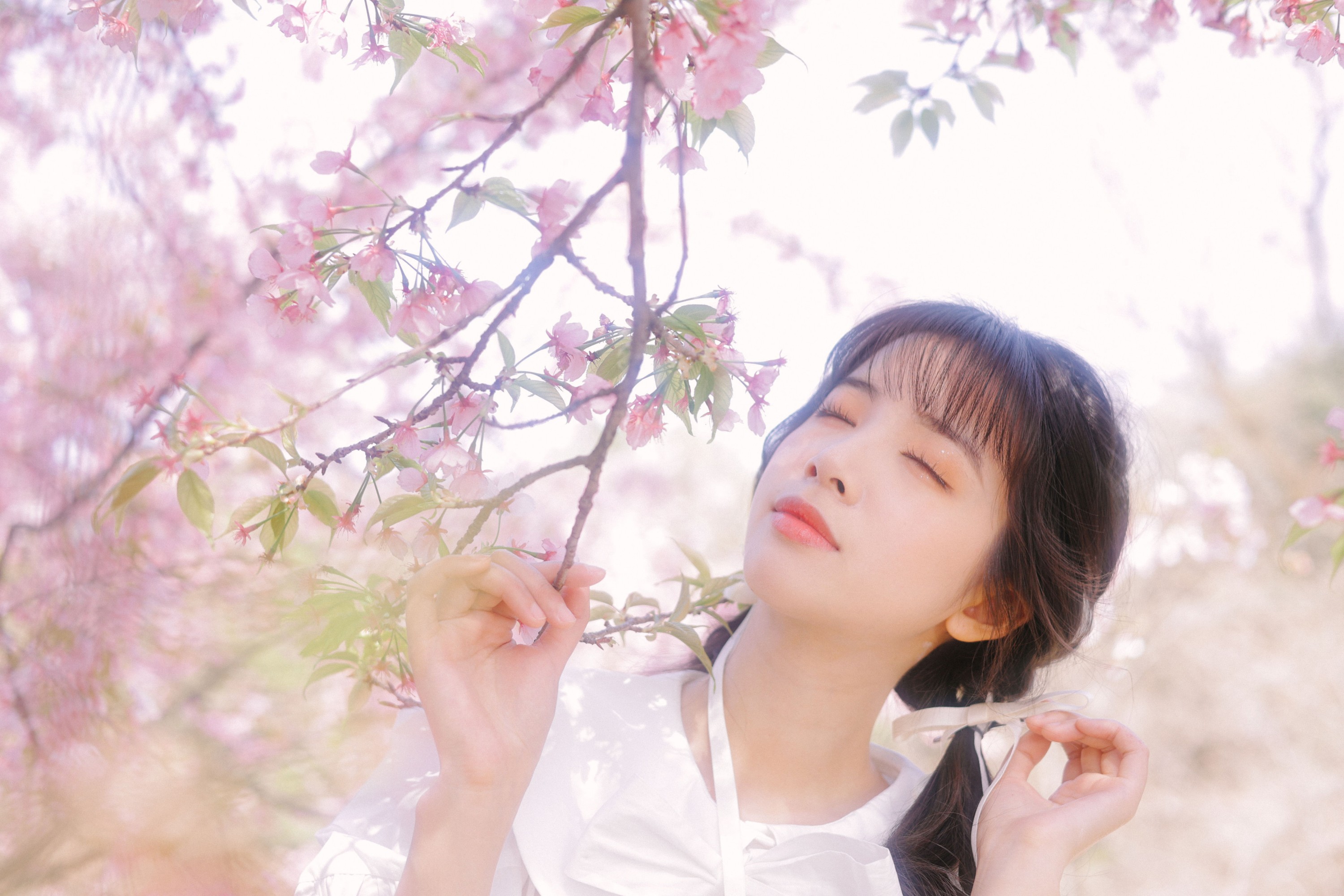 一只阿梦崽 – 《粉樱》[29P] 插图3