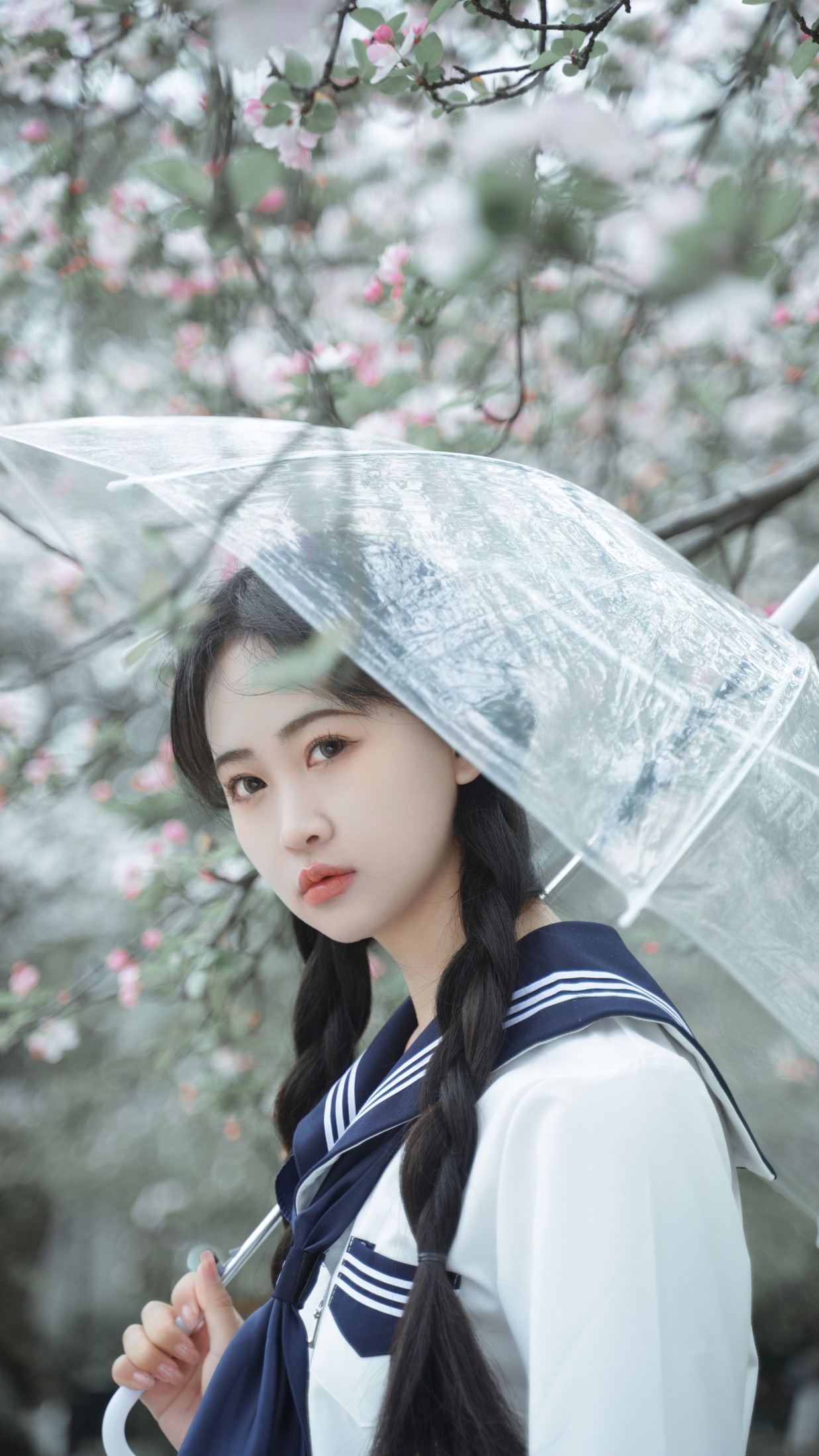 湫一只岁岁 – 《樱花》[27P] 插图3