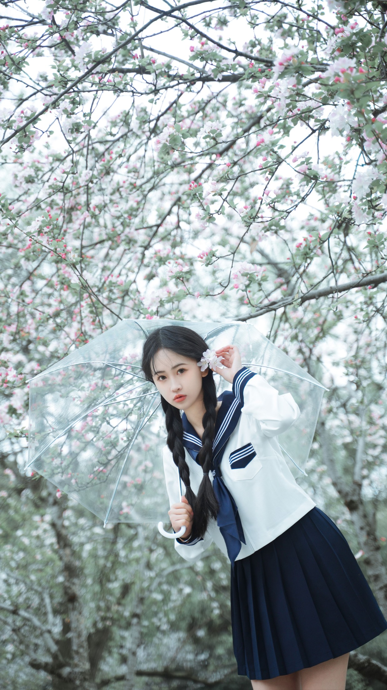 湫一只岁岁 – 《樱花》[27P] 插图4