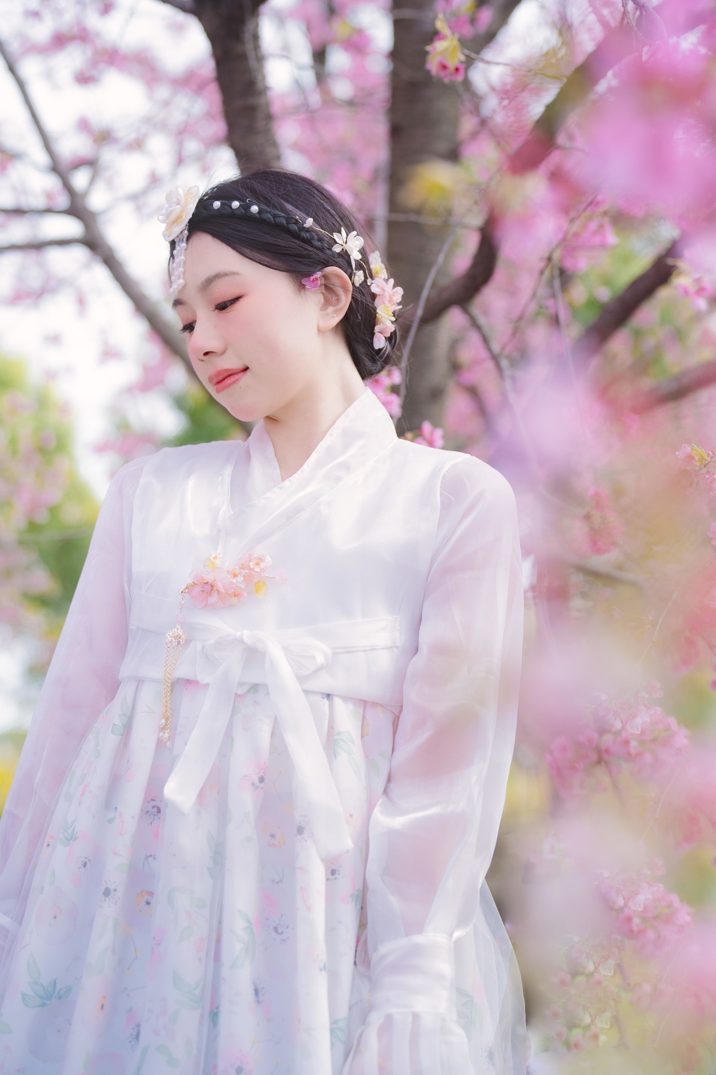 初初 – 《延边公主樱花祭》[22P] 插图4