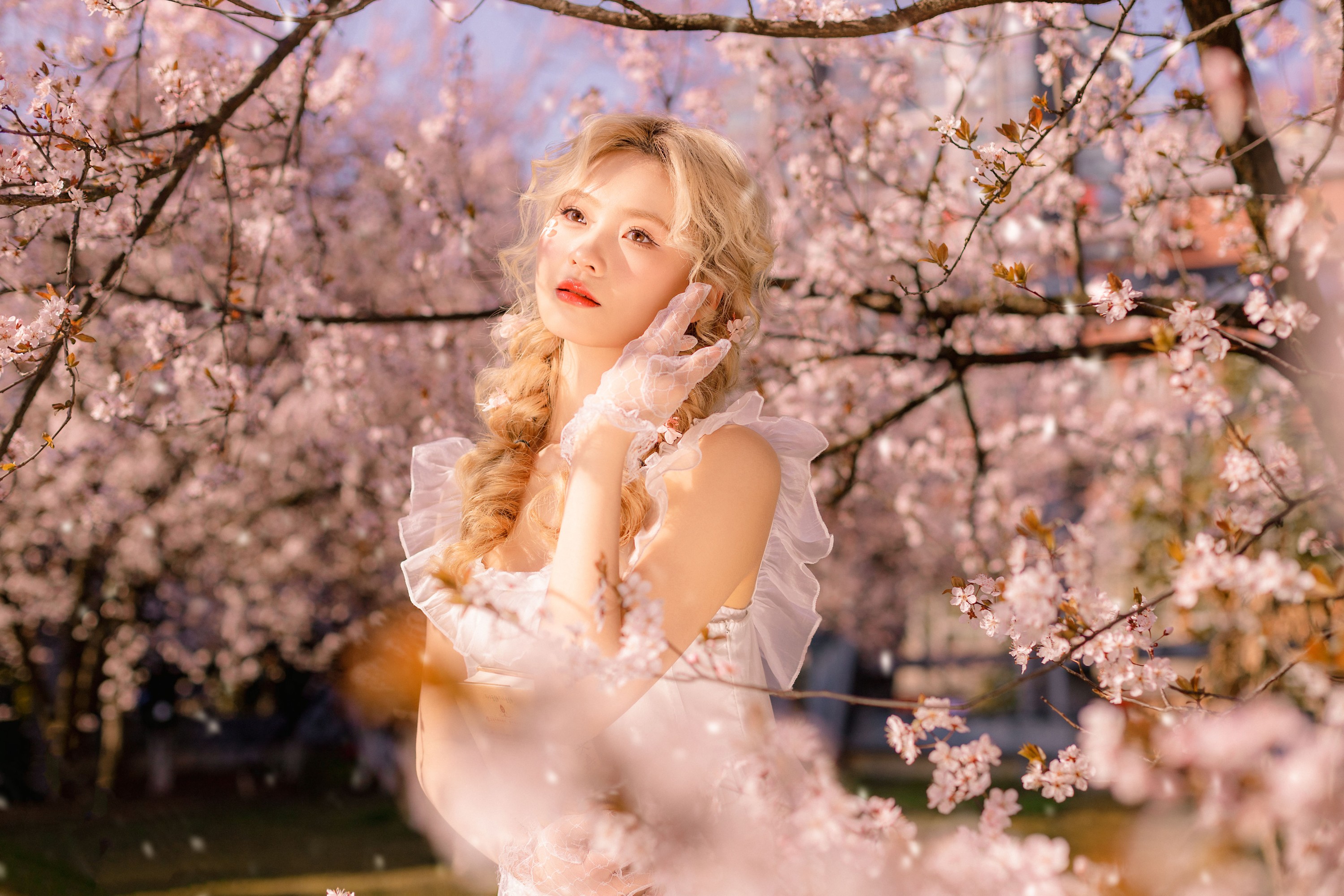 羔丽代 – 《樱花树下的春意》[22P] 插图4