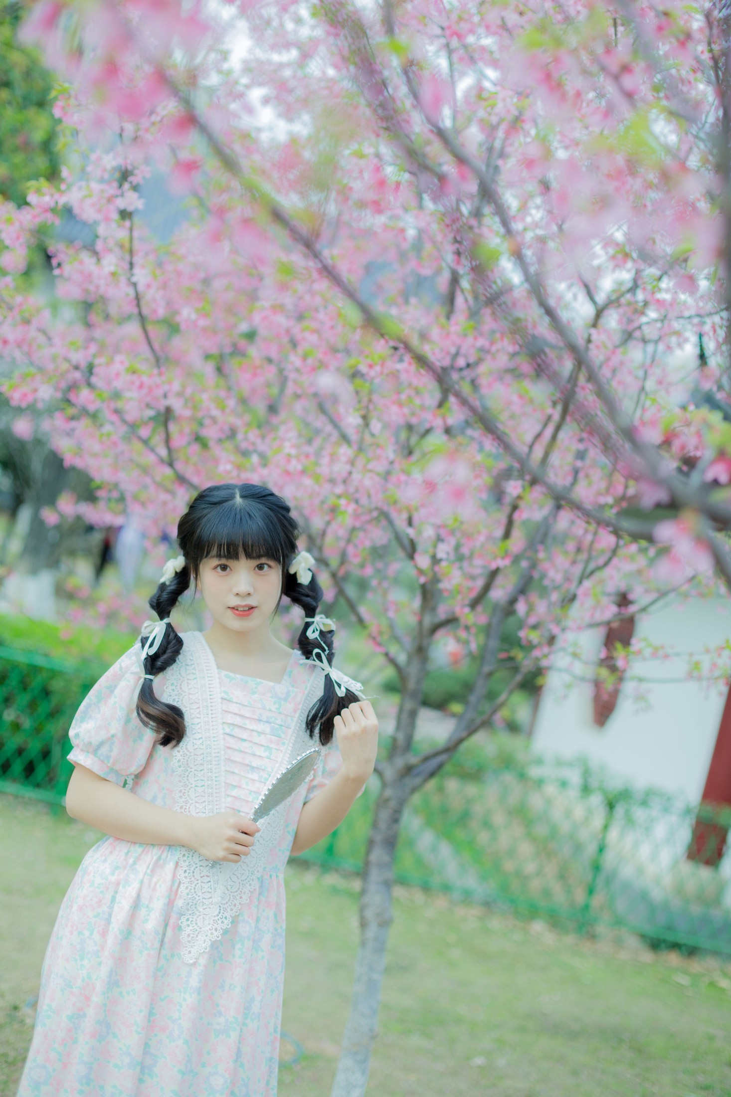 一只暖暖 – 《春日樱花记忆》[31P] 插图3